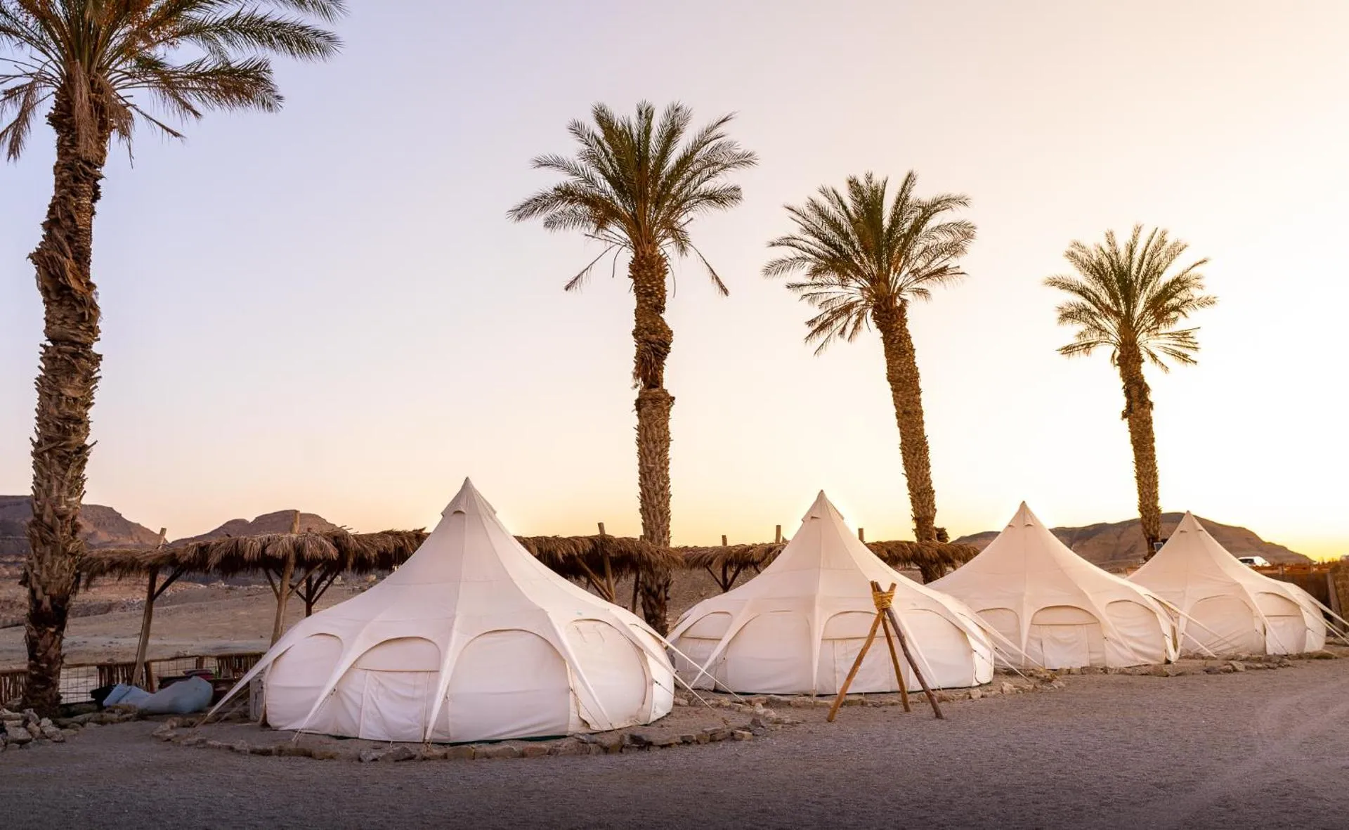 Dog Friendly Hotel $Mitzpe Ramon - $Selina Ramon
