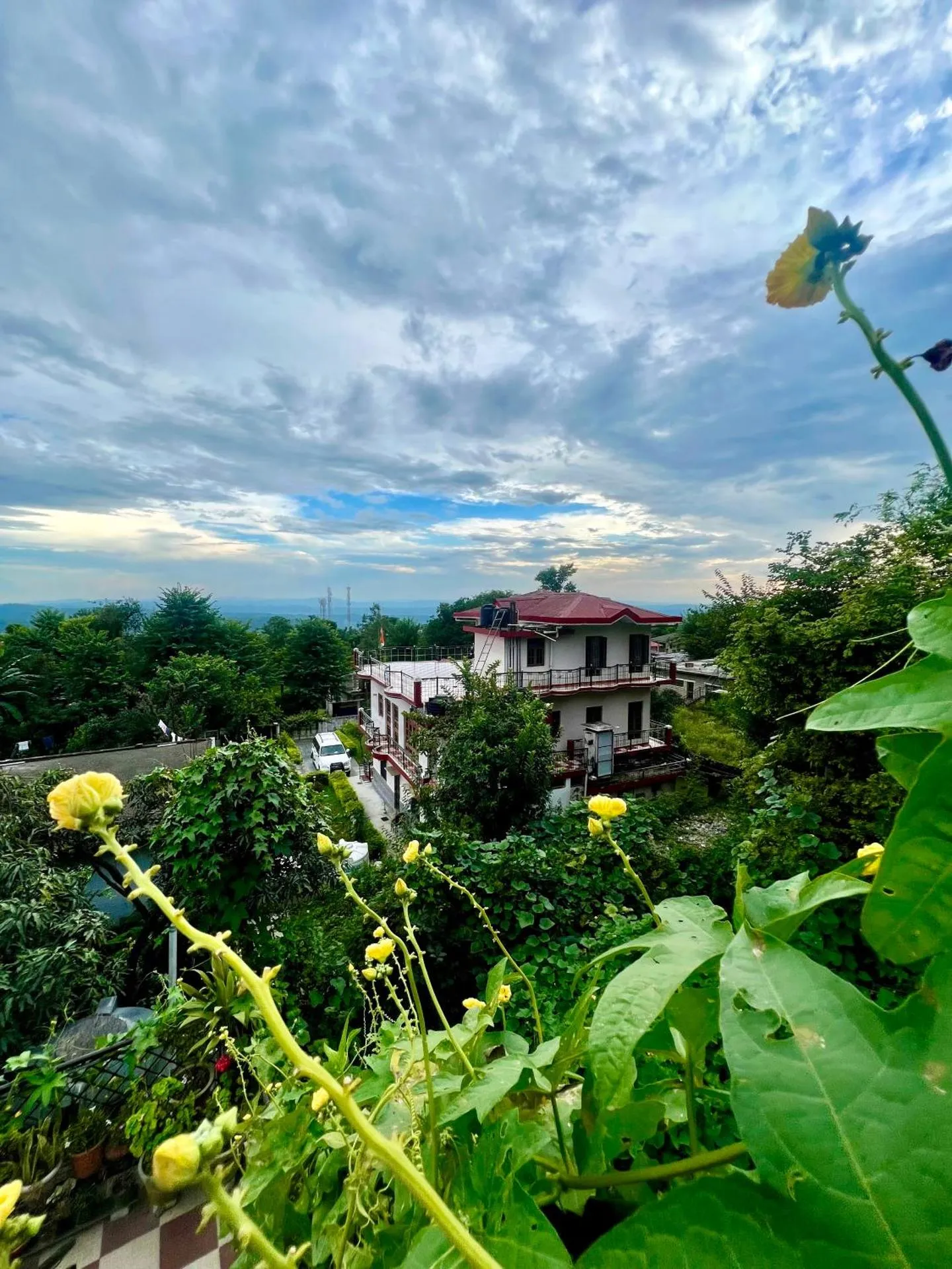 Villa Dharamshala by Snow Biscuit