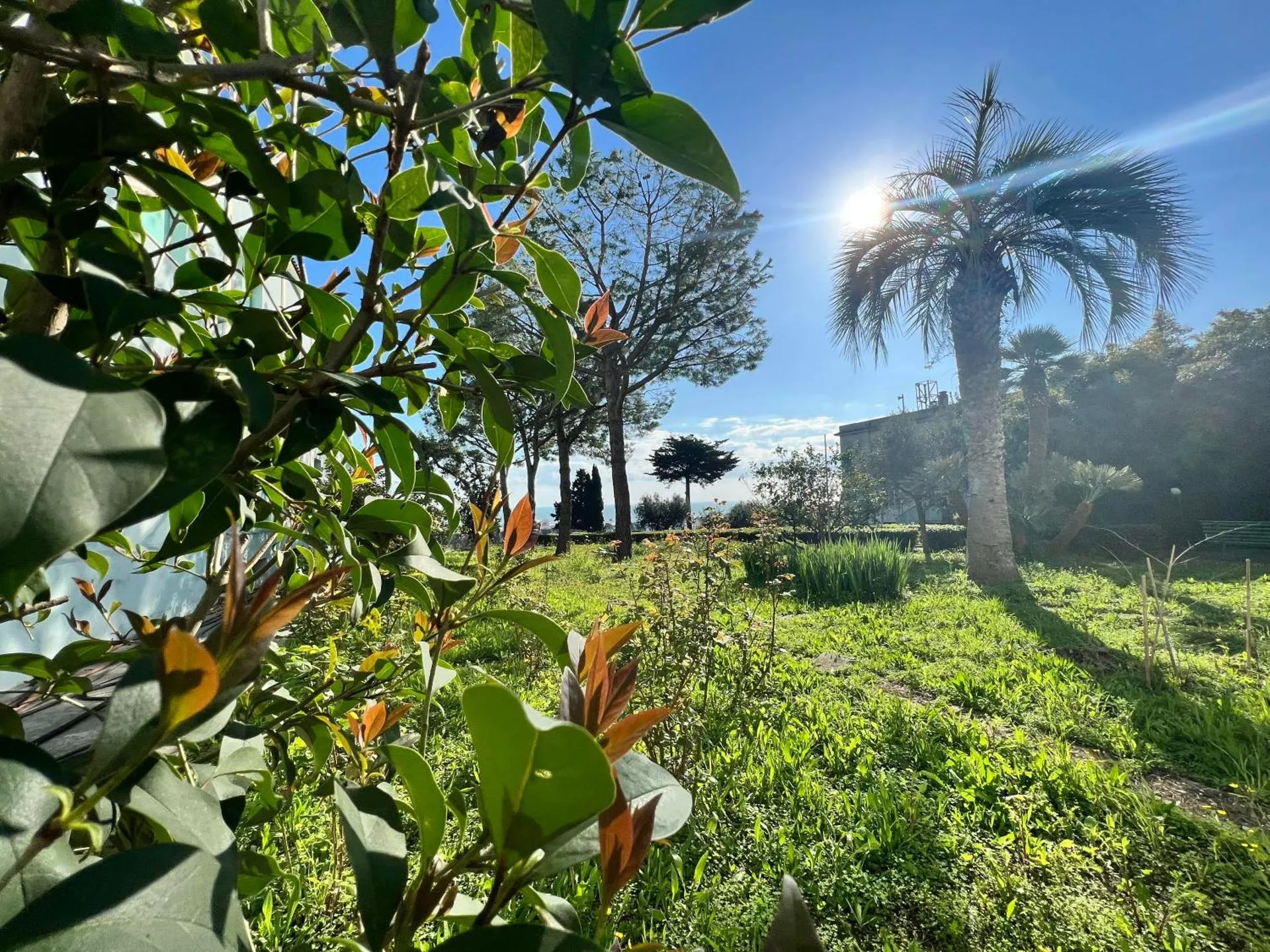 Foresteria Giulianova