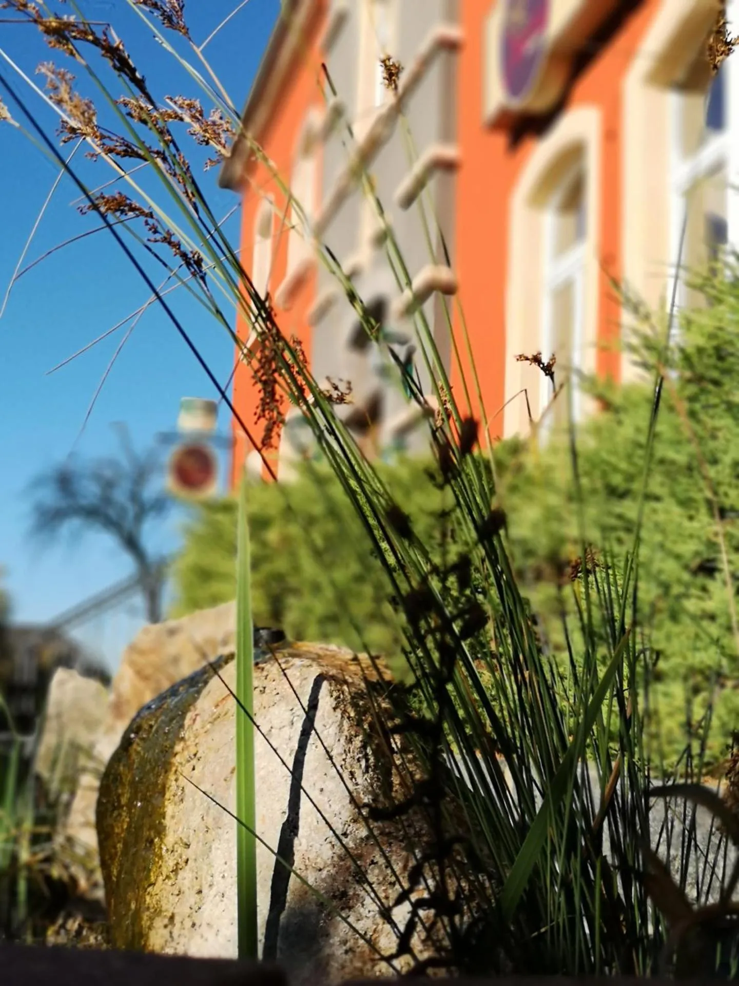 Dog Friendly Hotel $Putzkau - $Jägerhof Putzkau
