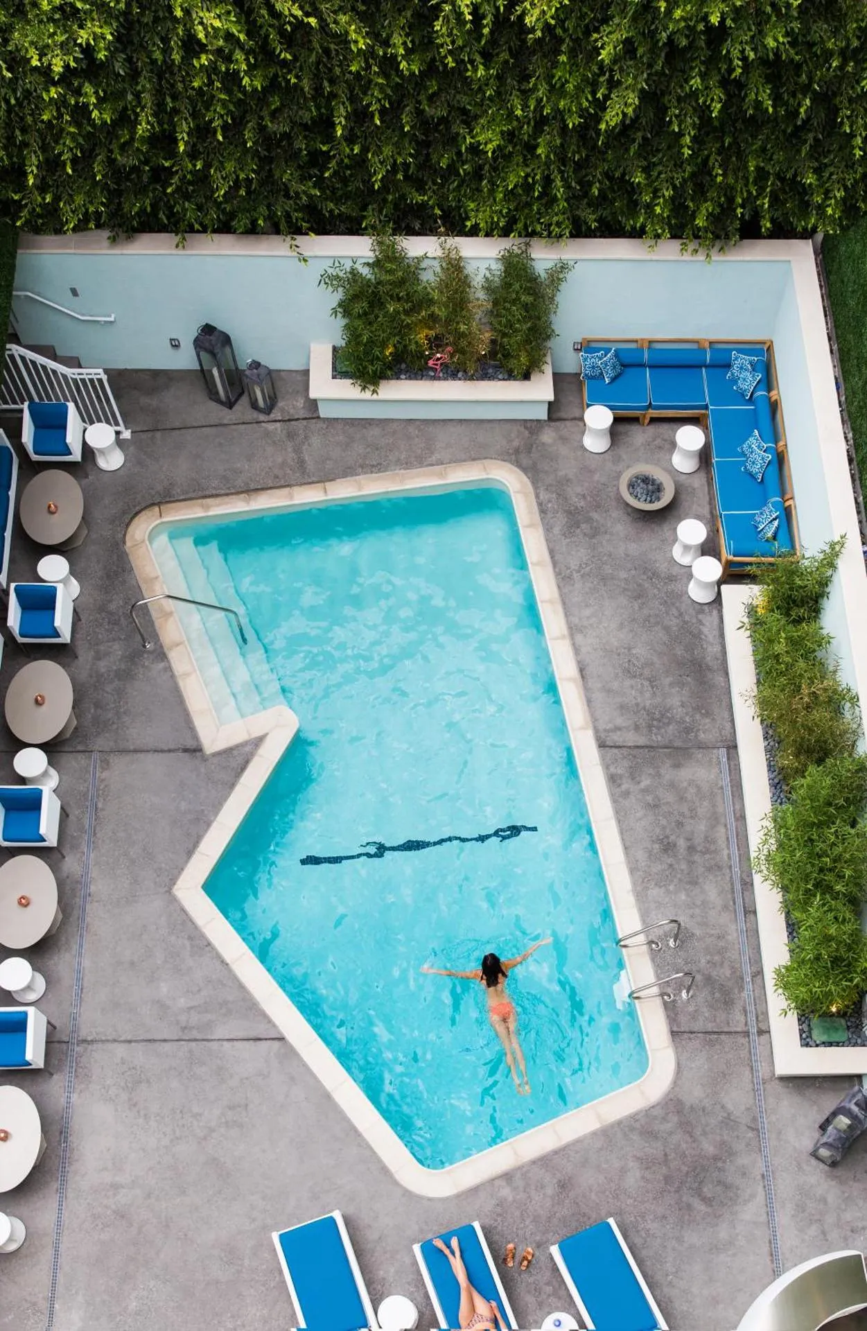 Dog Friendly Hotel $Los Angeles - $Mosaic Hotel Beverly Hills