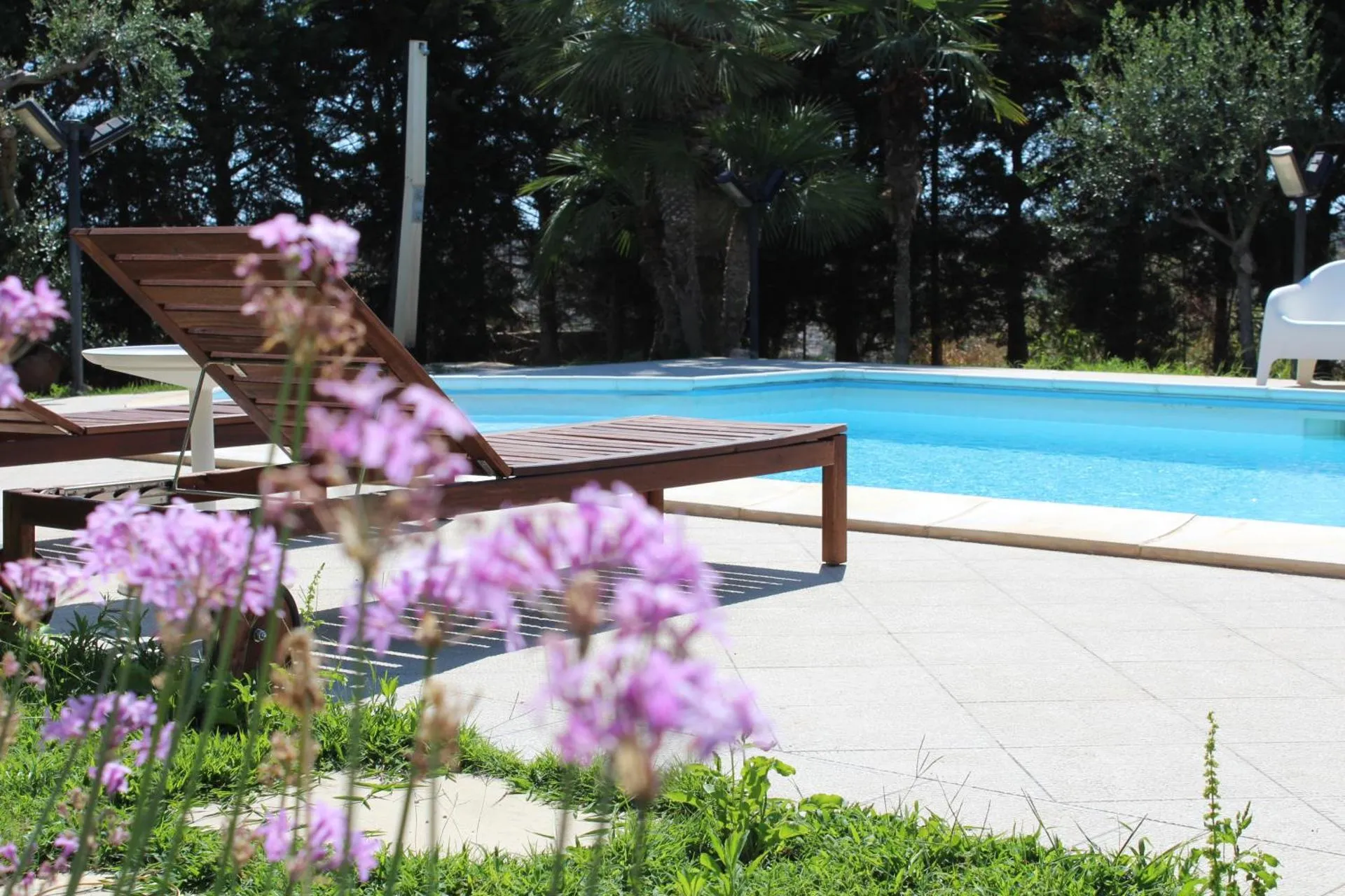 Villa Orchidea Luxury B&B