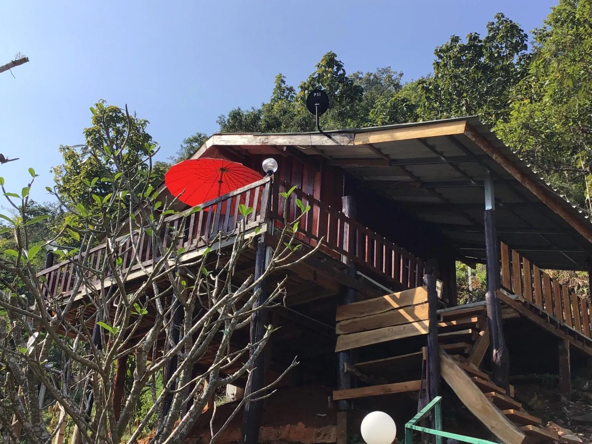 Forest Guesthouse
