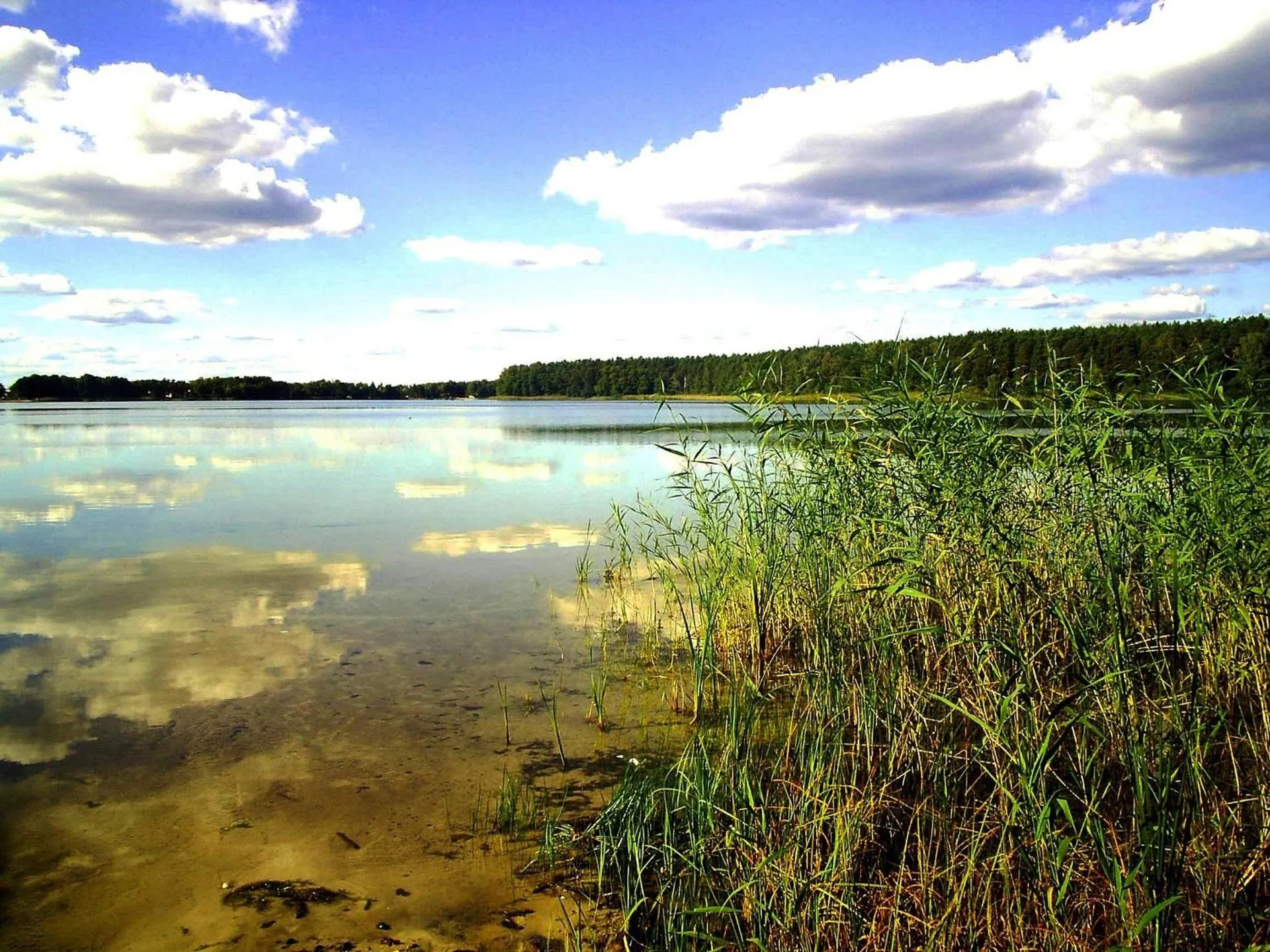 OŚRODEK WYPOCZYNKOWY OAZA