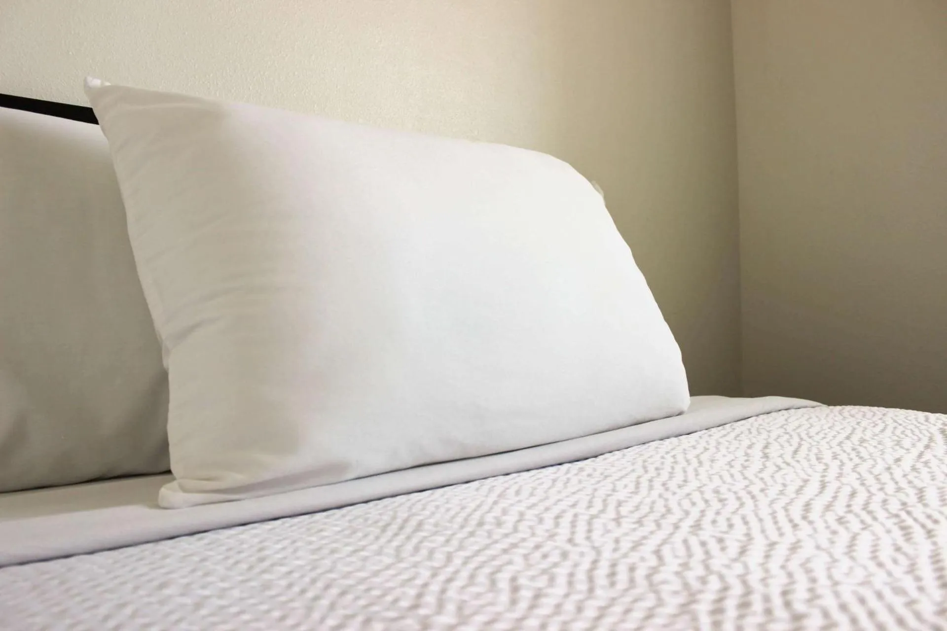 Dog Friendly Hotel $Rexburg - $Motel 6 Rexburg, ID