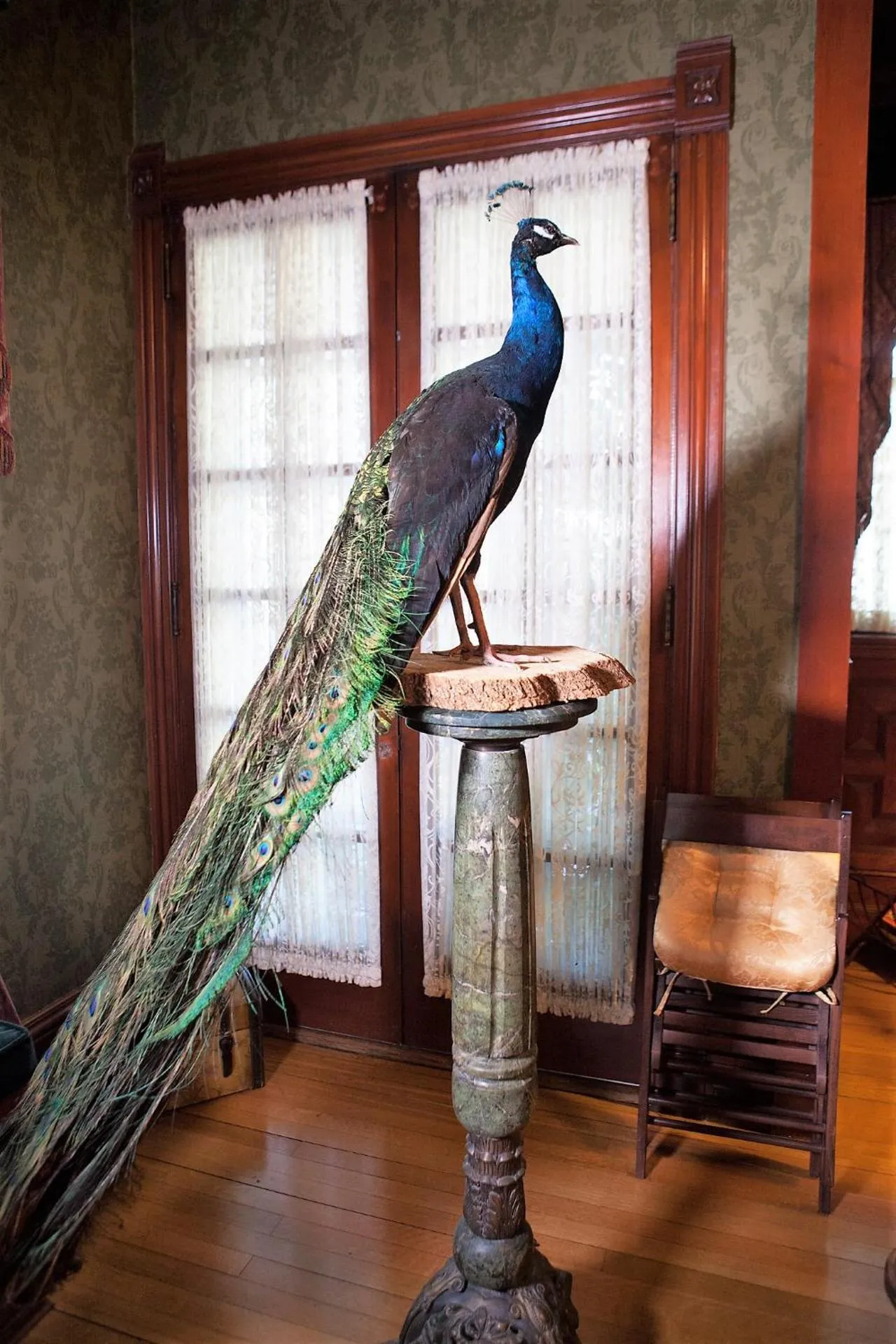 Alexander Mansion Bed & Breakfast