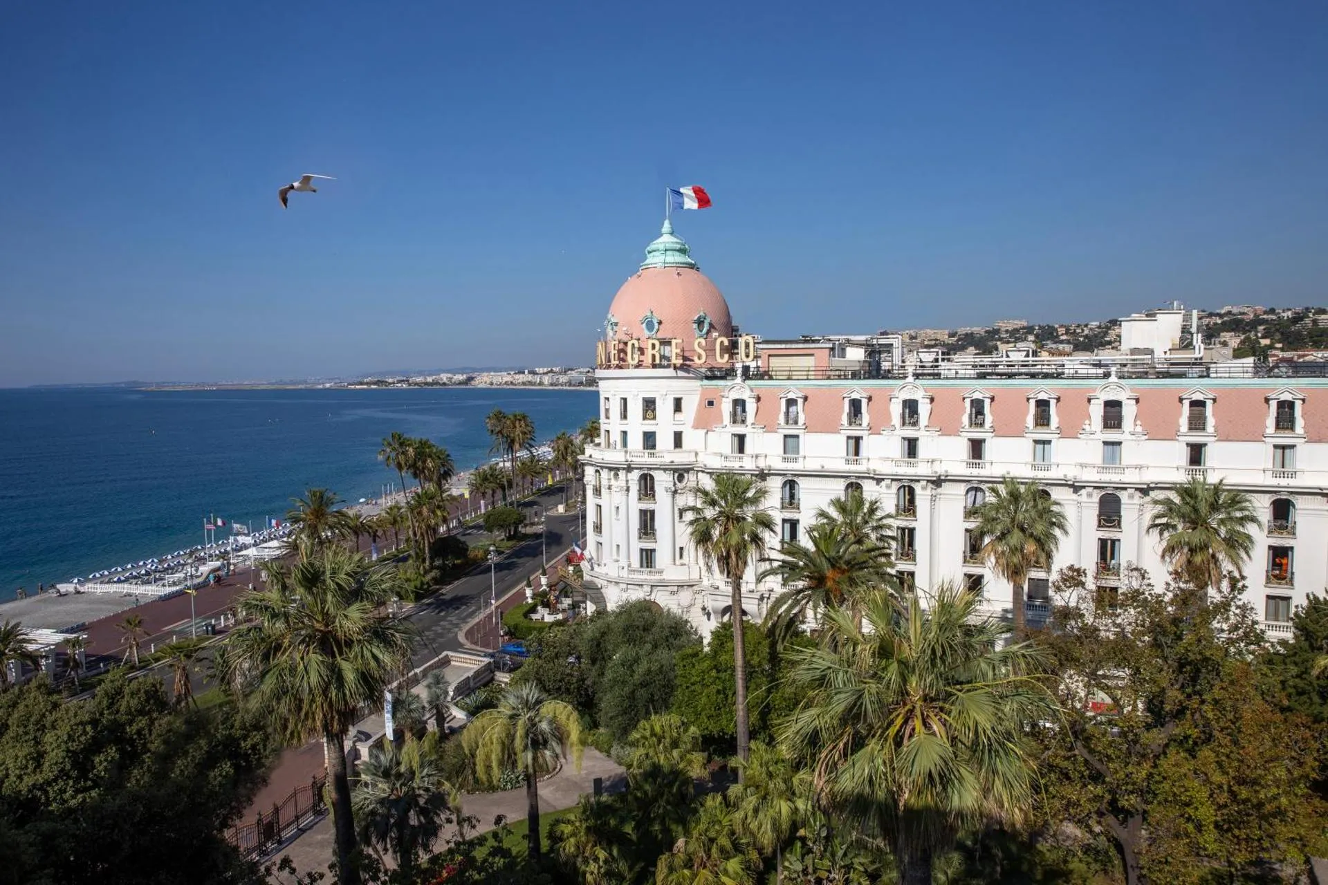 Dog Friendly Hotel $Nice - $Hotel Le Negresco