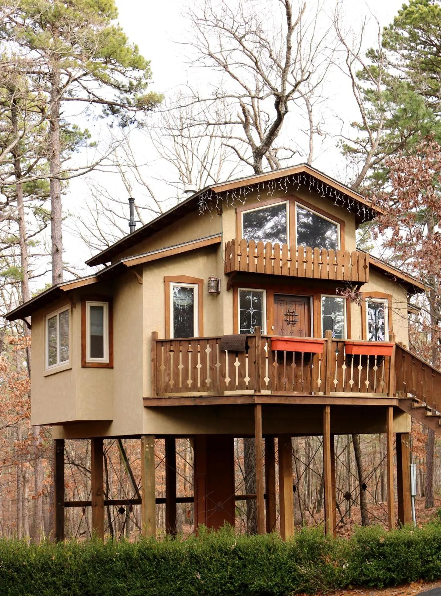 The Grand Treehouse Resort