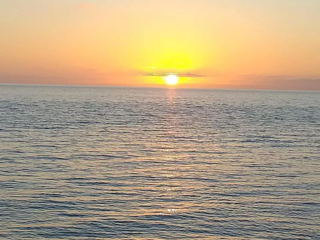 The Sunset Stay Apartments