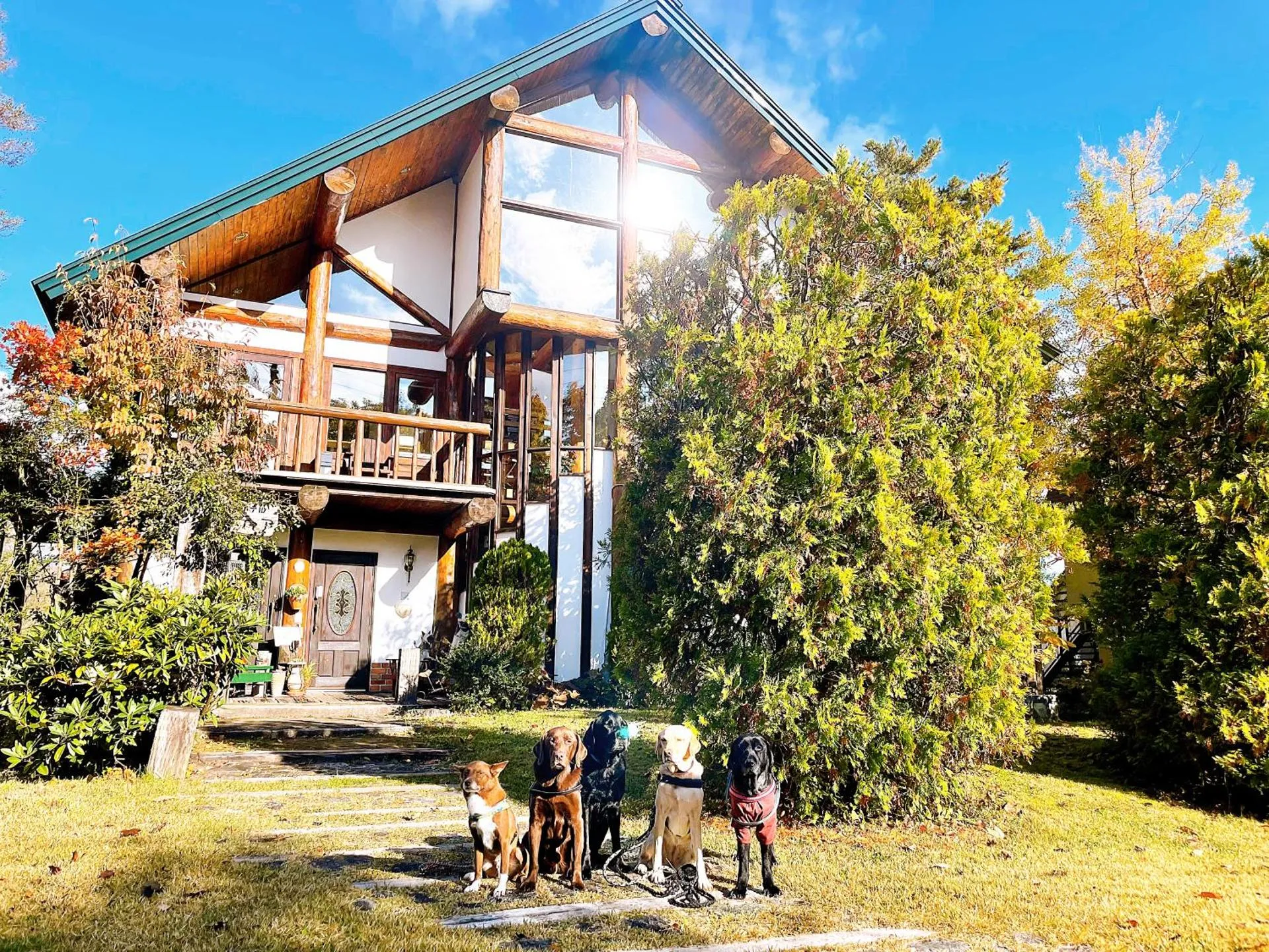 Hakuba Log Hotel Meteor