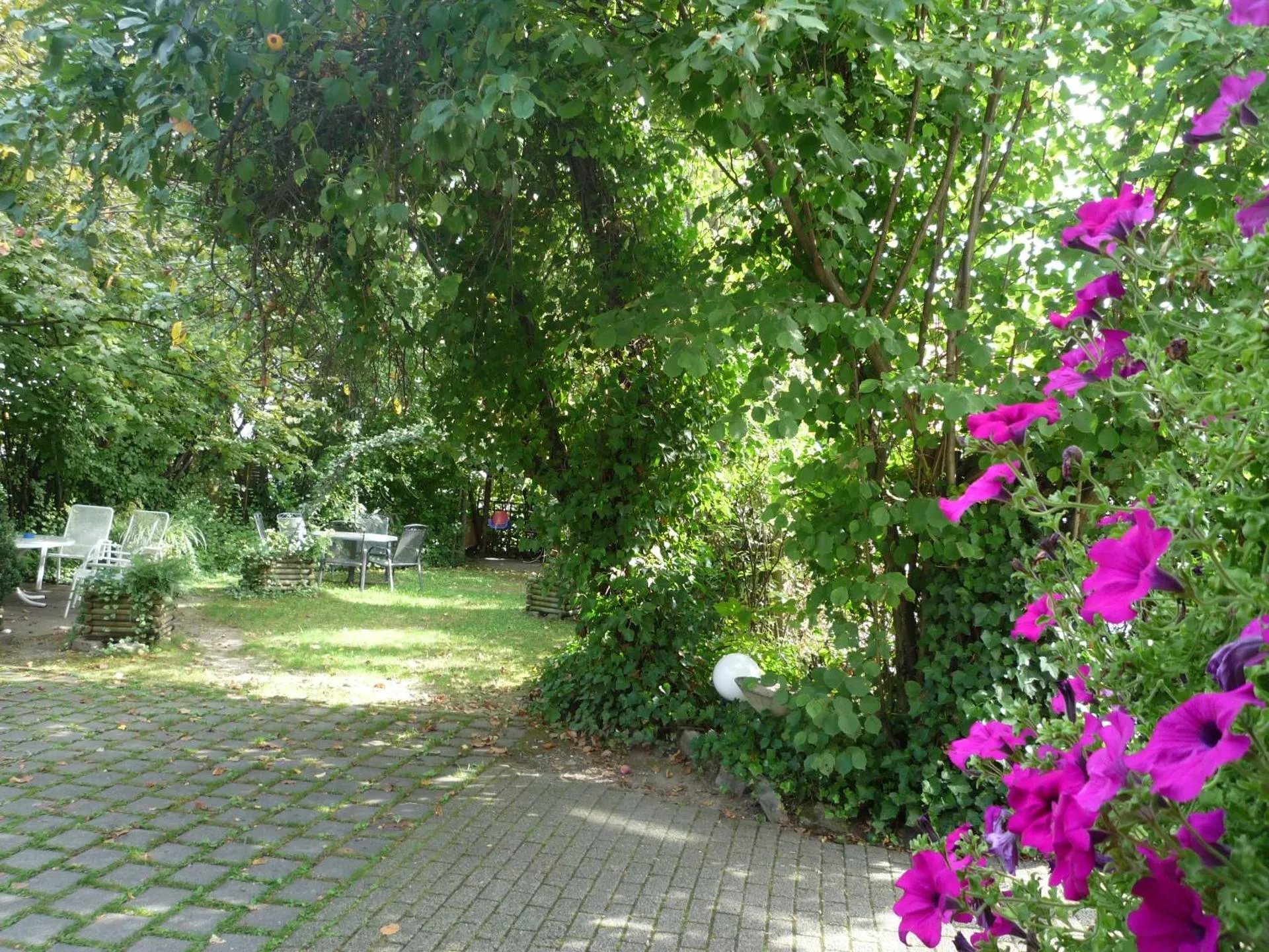 Dog Friendly Hotel $Steinheim an der Murr - $biozertifiziertes Hotel Höpfigheimer Hof mit Wein-Shop