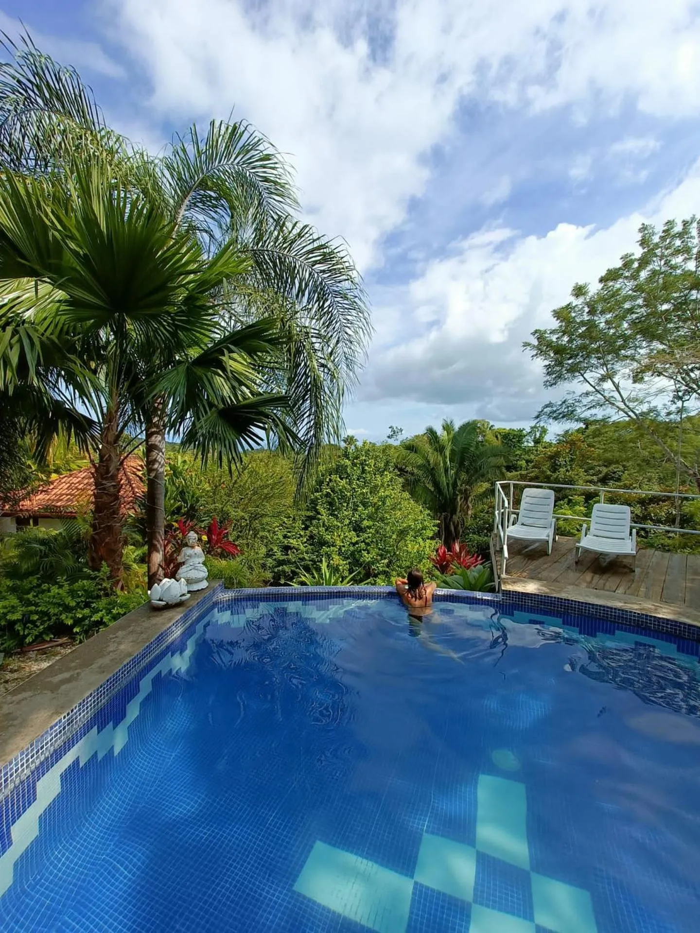 Dog Friendly Hotel $Montezuma - $Finca Los Caballos Montezuma