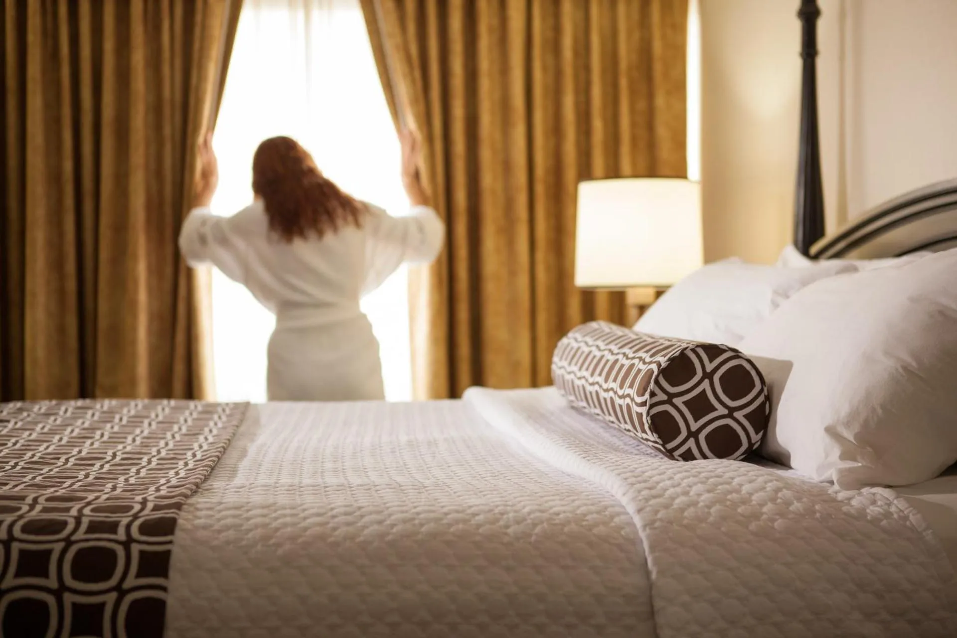Dog Friendly Hotel $Hickory - $Crowne Plaza Hotel Hickory, an IHG Hotel