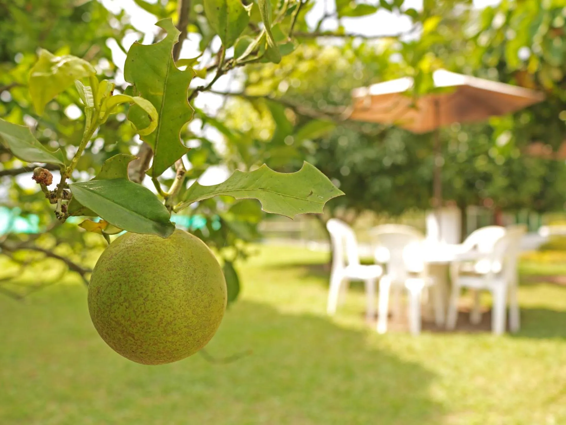 Hotel Campestre Villa Quindio