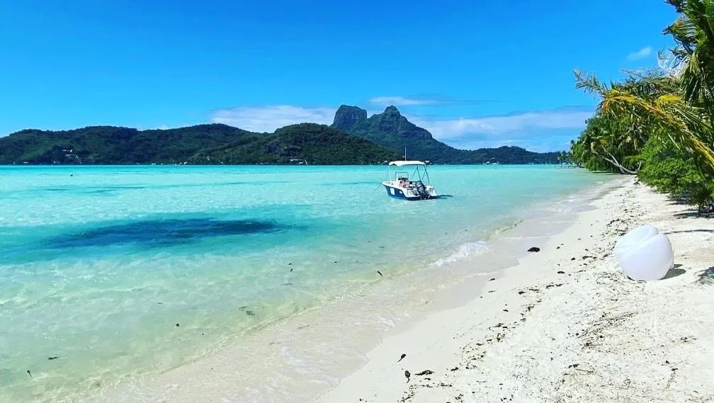 Dog Friendly Bed and breakfast $Bora Bora - $ONLY YOU MOTU