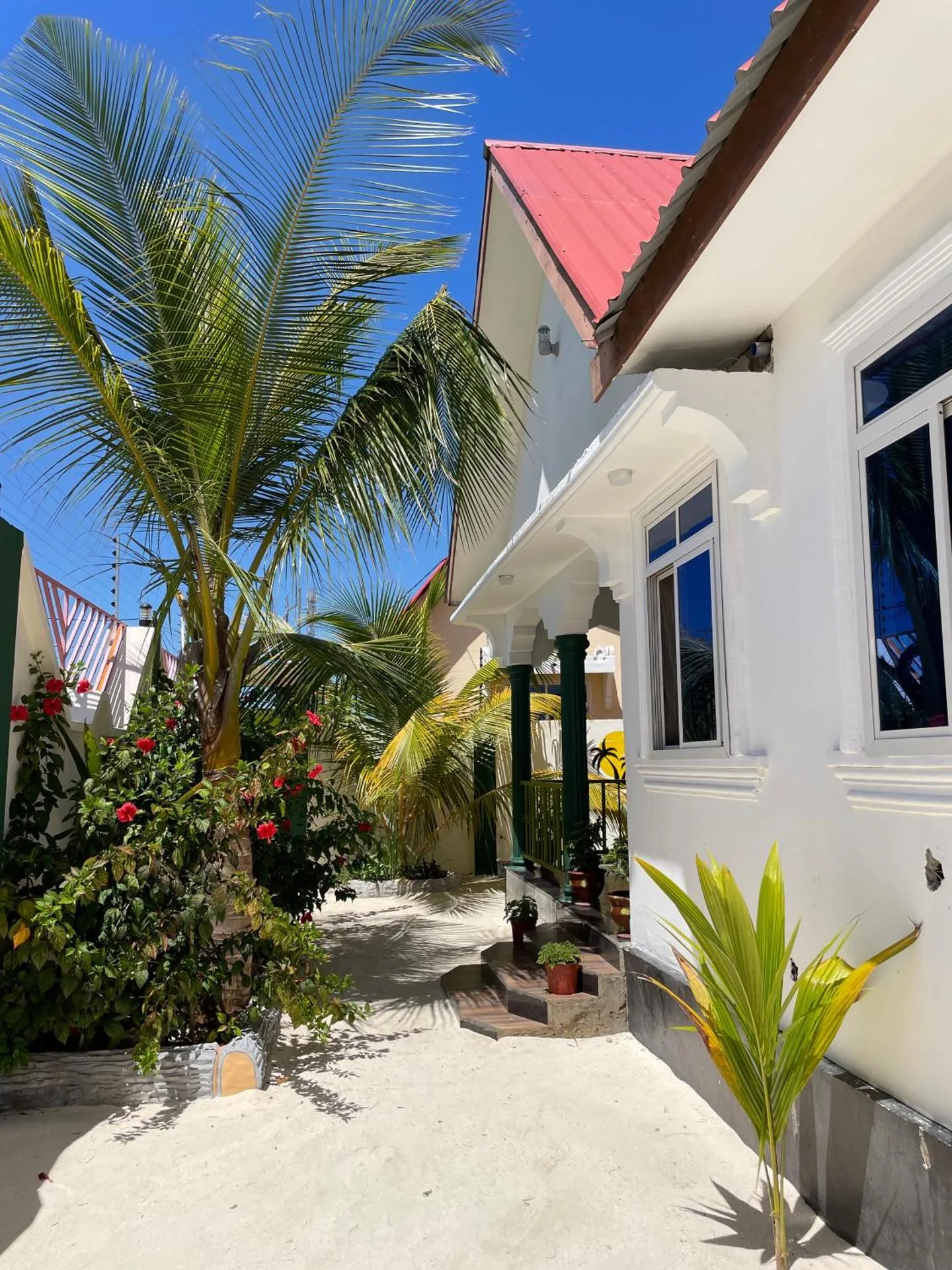 LoLo House