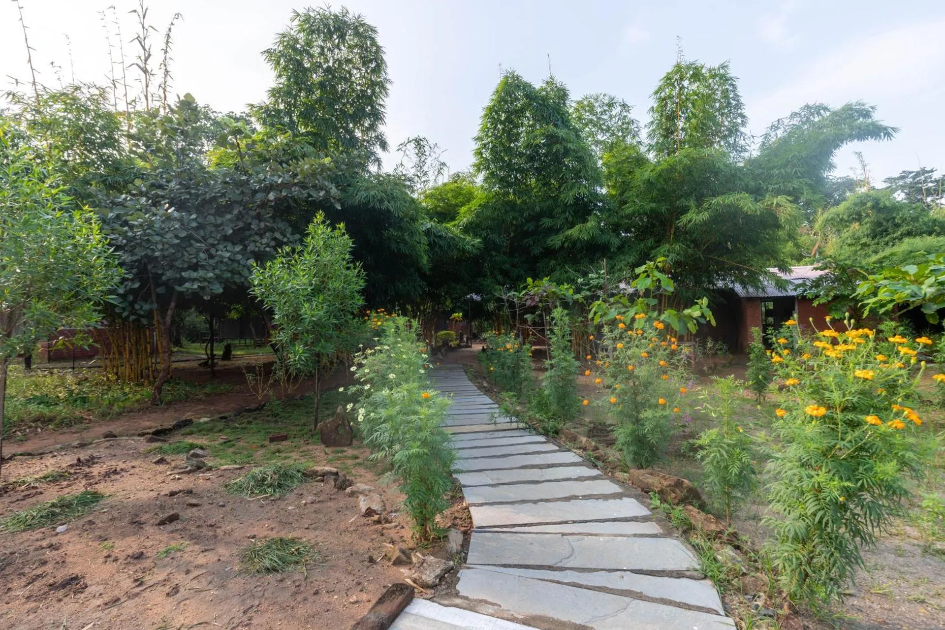 Pench Tiger Camp