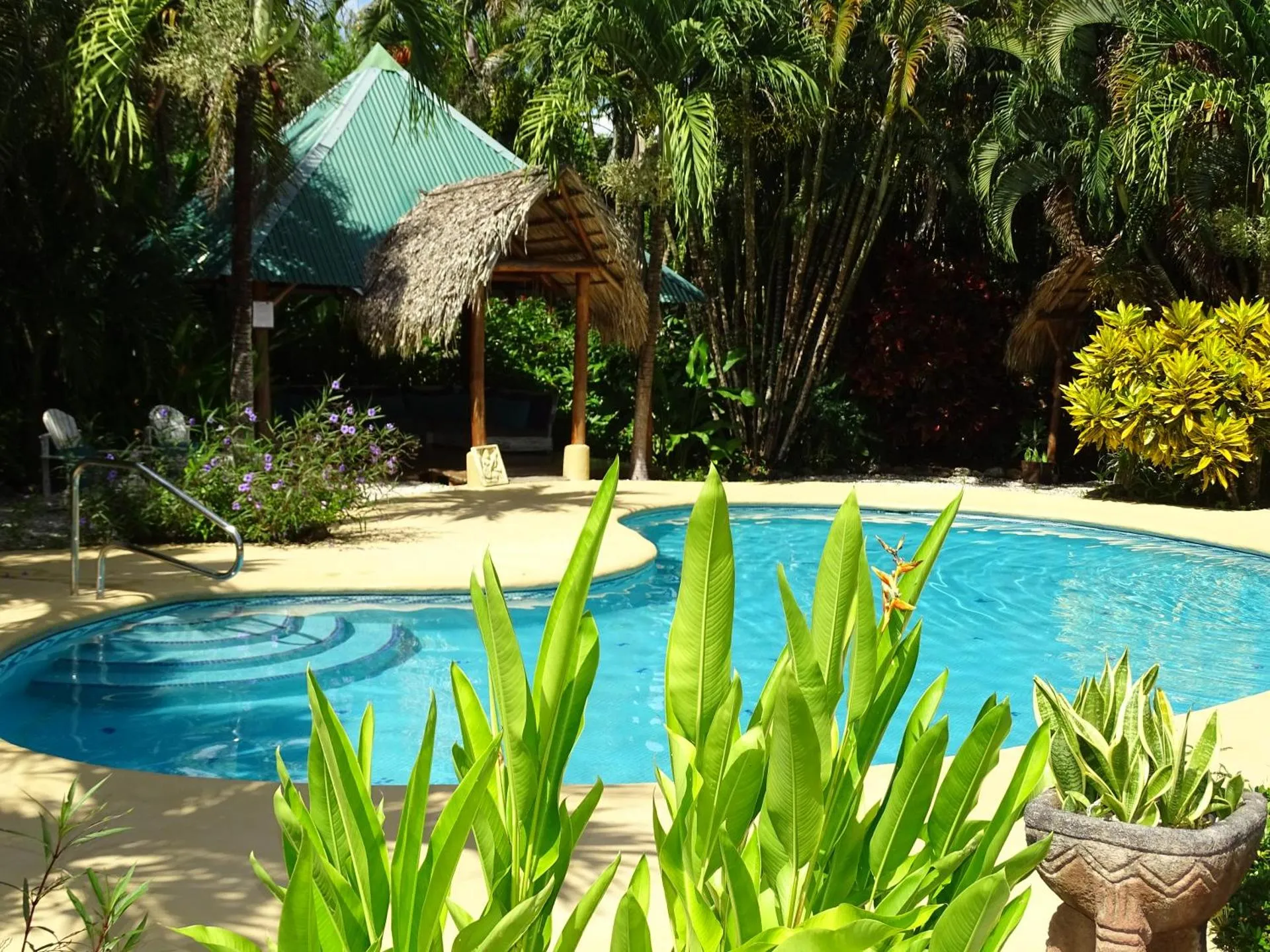 Dog Friendly Hotel $Mal País - $Indigo Yoga Surf Resort