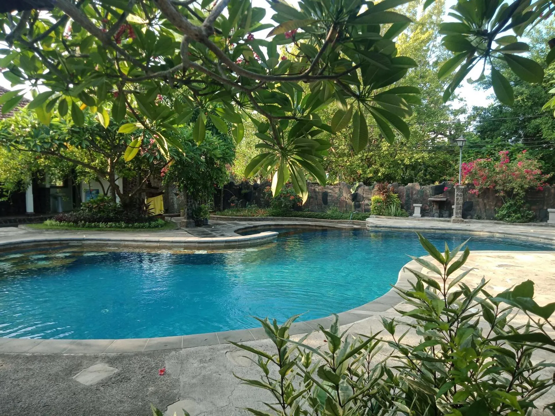 Dog Friendly Hotel $Lovina - $Rini hotel