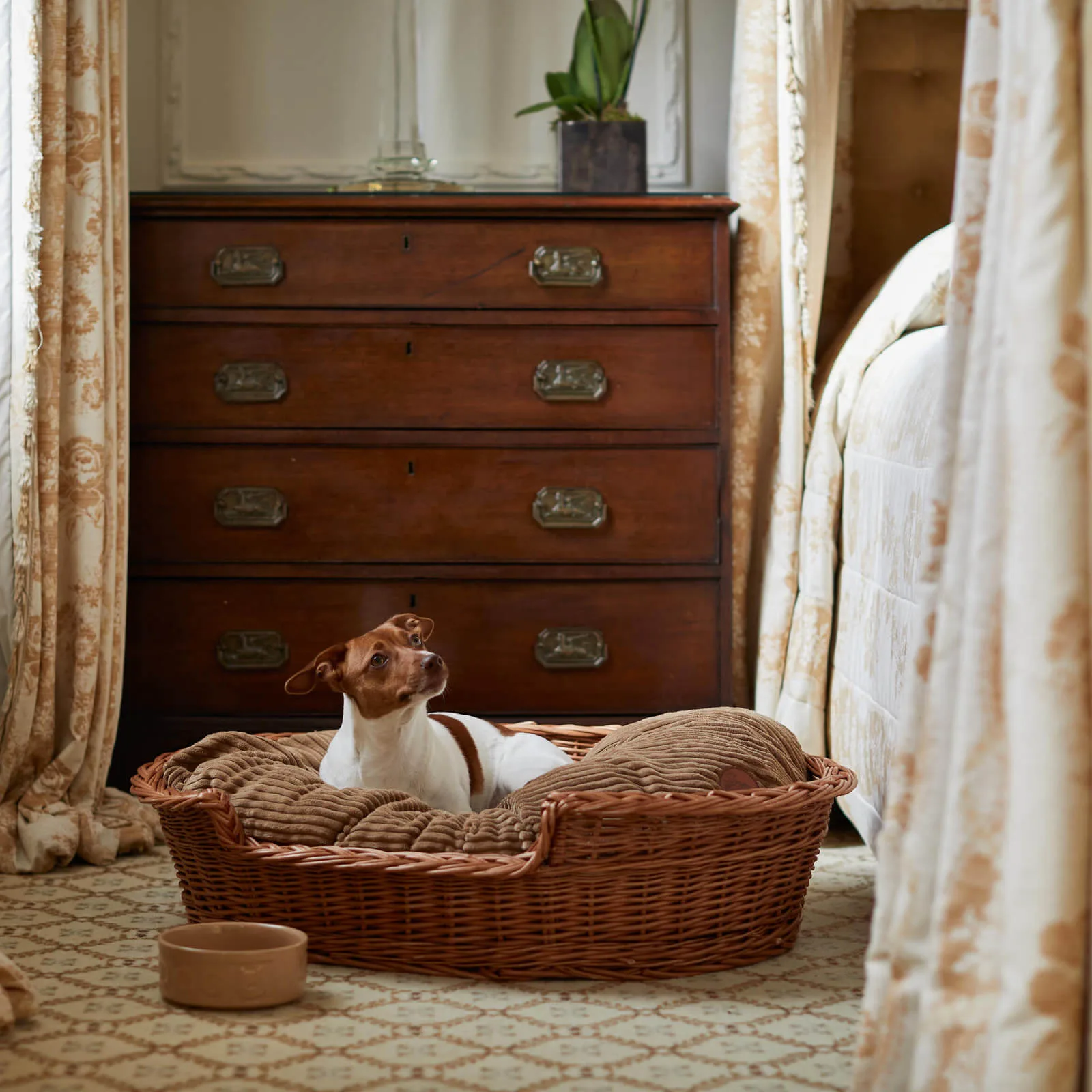 Egerton House, a dog friendly hotel in London