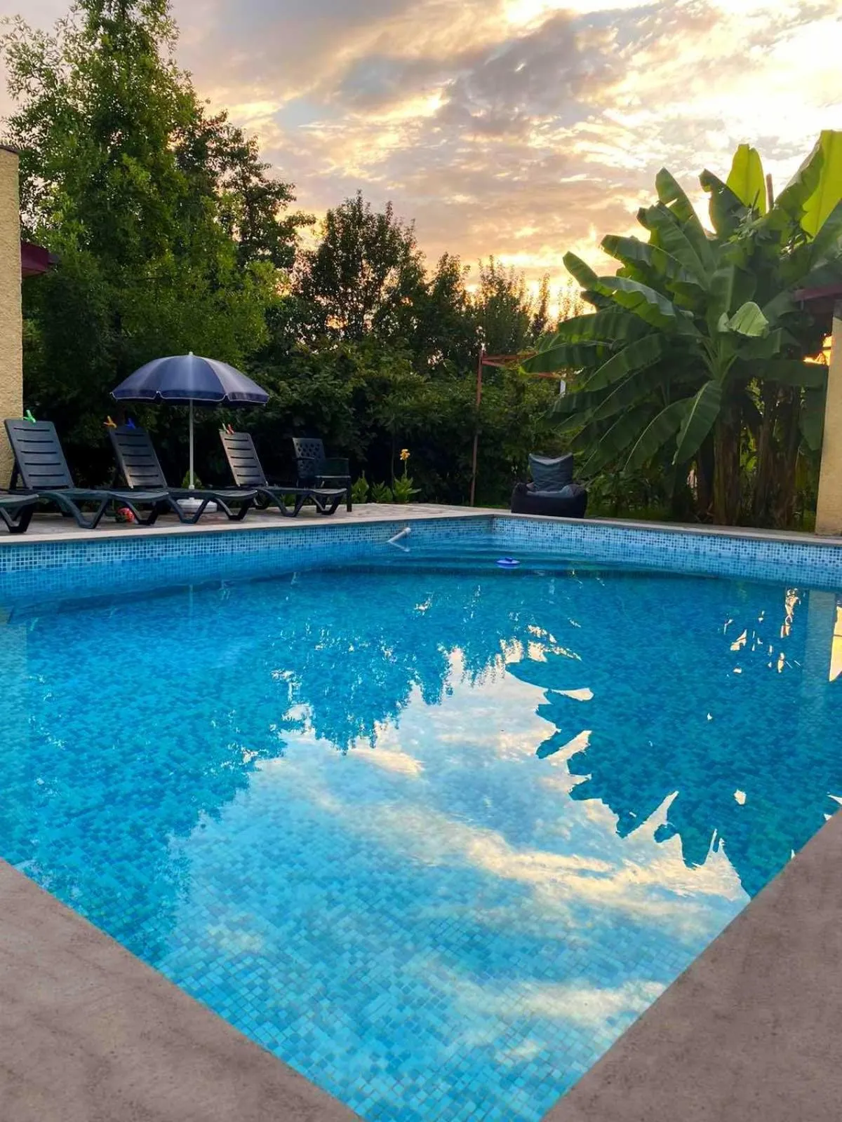 Dog Friendly Inn $Eniseli - $Hotel Villa Eniseli