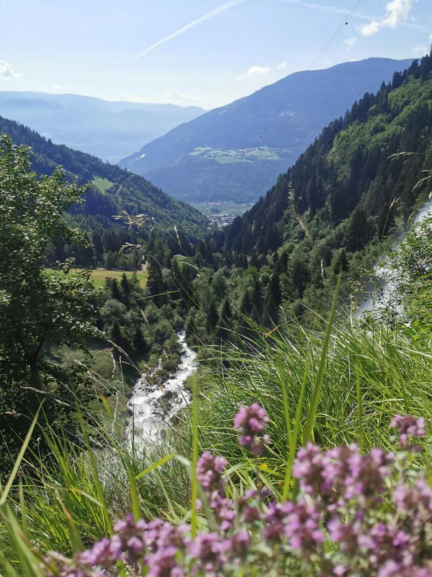 Dog Friendly Bed and breakfast $Parcines - $Garni Marianne