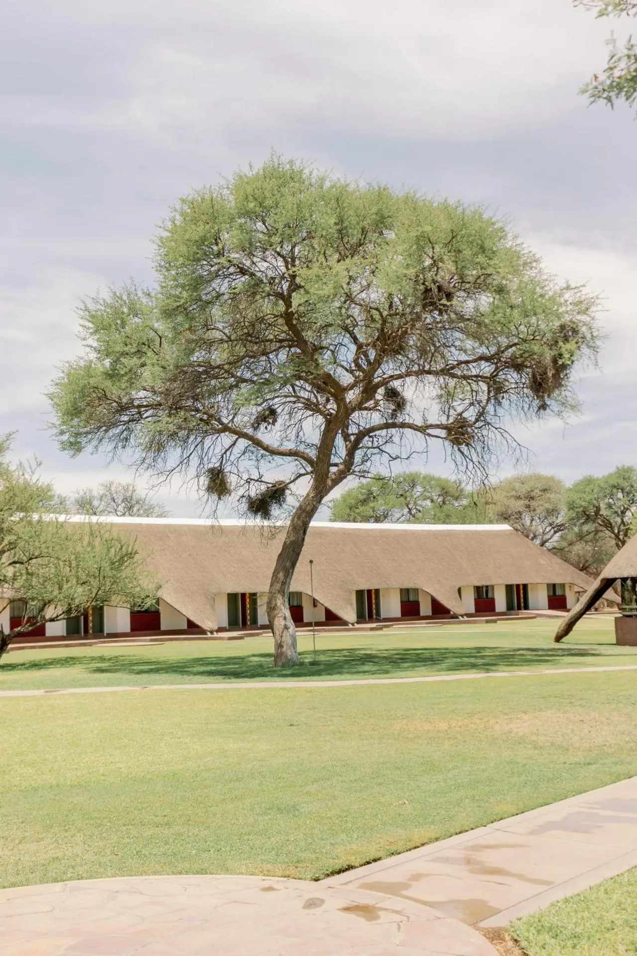 Dog Friendly Bed and breakfast $Okahandja - $Okahandja Country Hotel