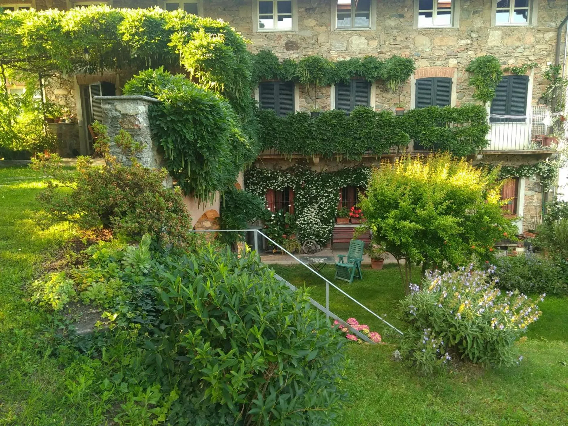 Il Glicine