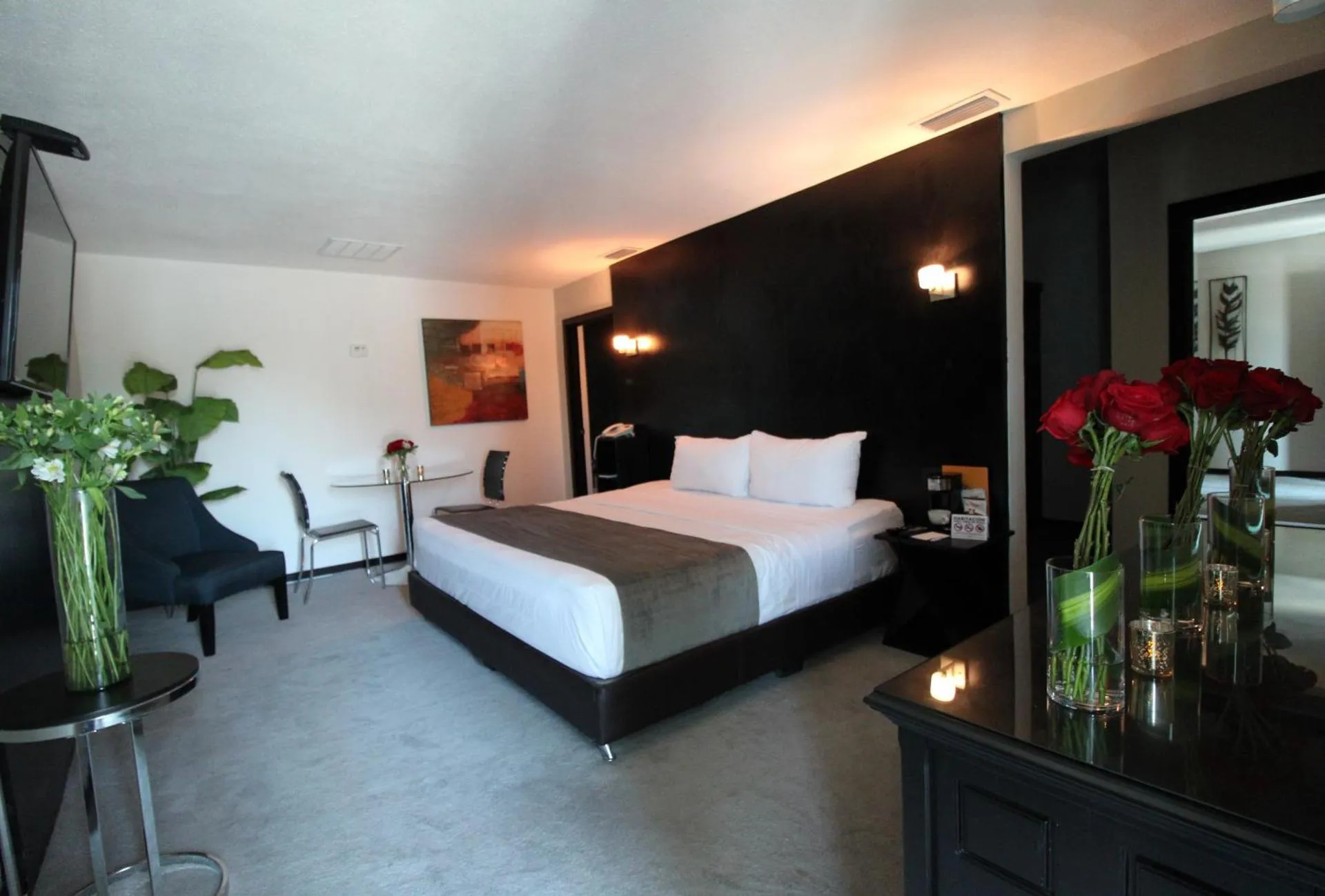 Stay Inn Hotels