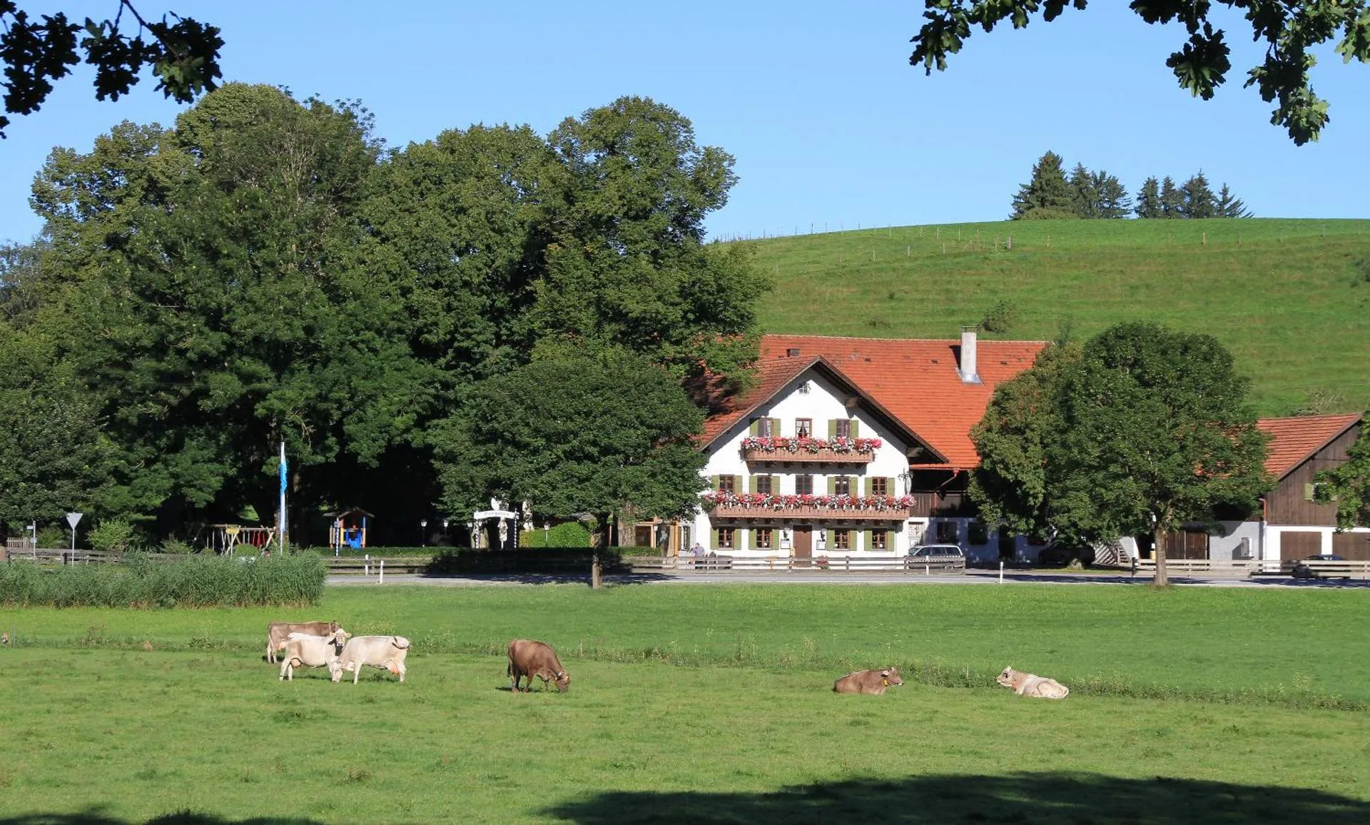 Dog Friendly Inn $Peiting - $Gasthof Lamprecht