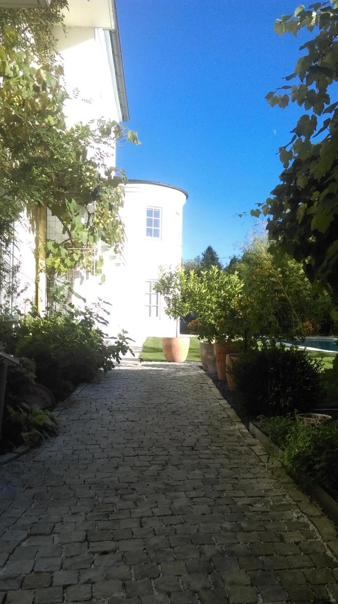 Dog Friendly Hotel $Mauerkirchen - $Gasthof Ginzinger
