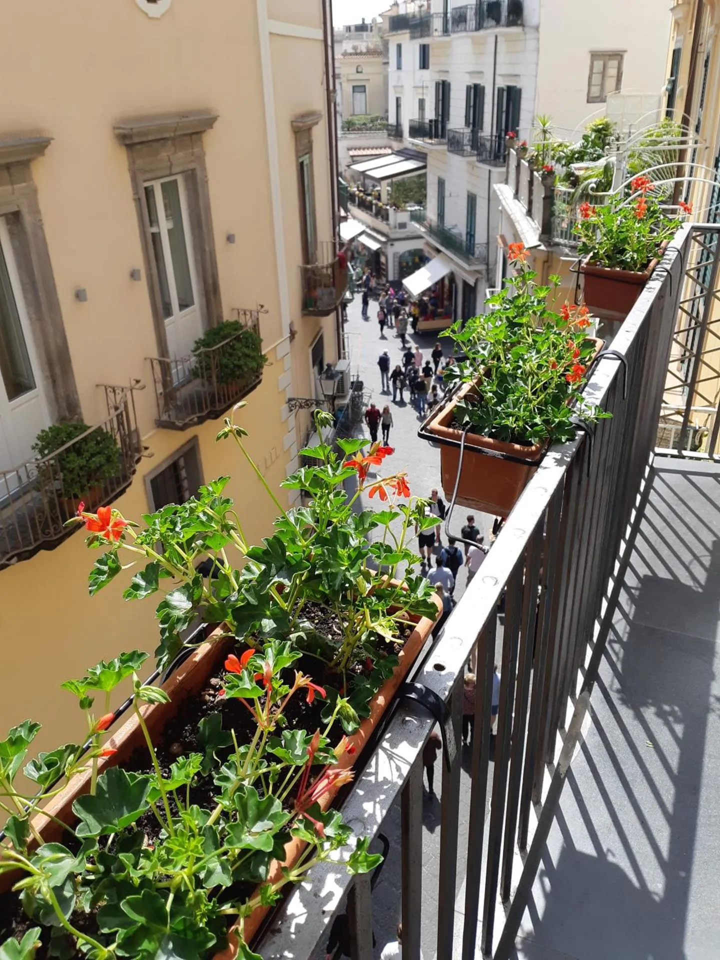 Hotel Antica Repubblica in centro storico a 100mt dal mare