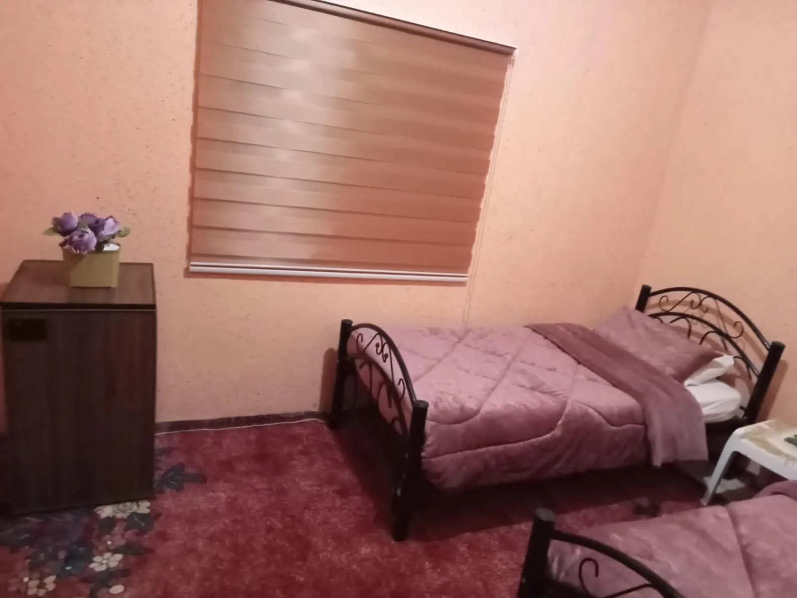 petra nova hostel