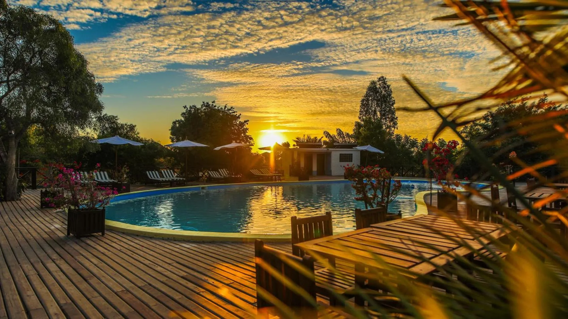 Dog Friendly Hotel $Morondava - $KIMONY RESORT