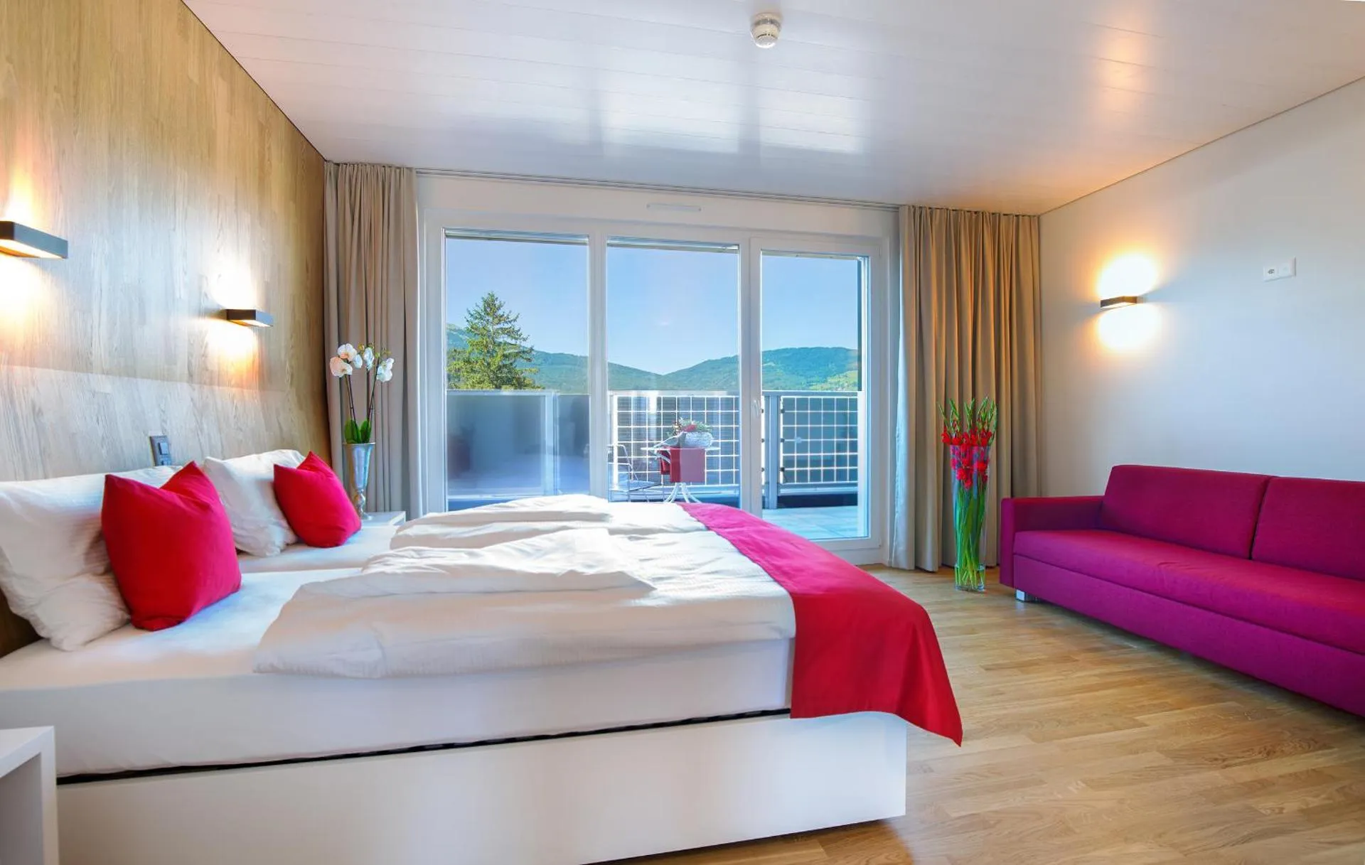Dog Friendly Hotel $Oberriet - $Hotel Rhy