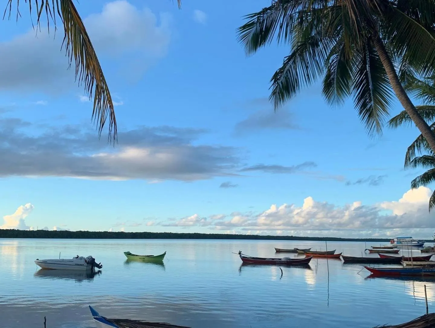 Dog Friendly Hotel $Indiaroba - $Pousadinha da Lulu - Pontal Mangue Seco