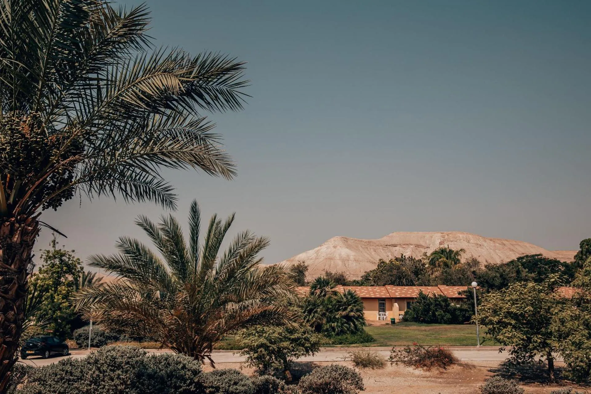 Mantur Almog by Selina