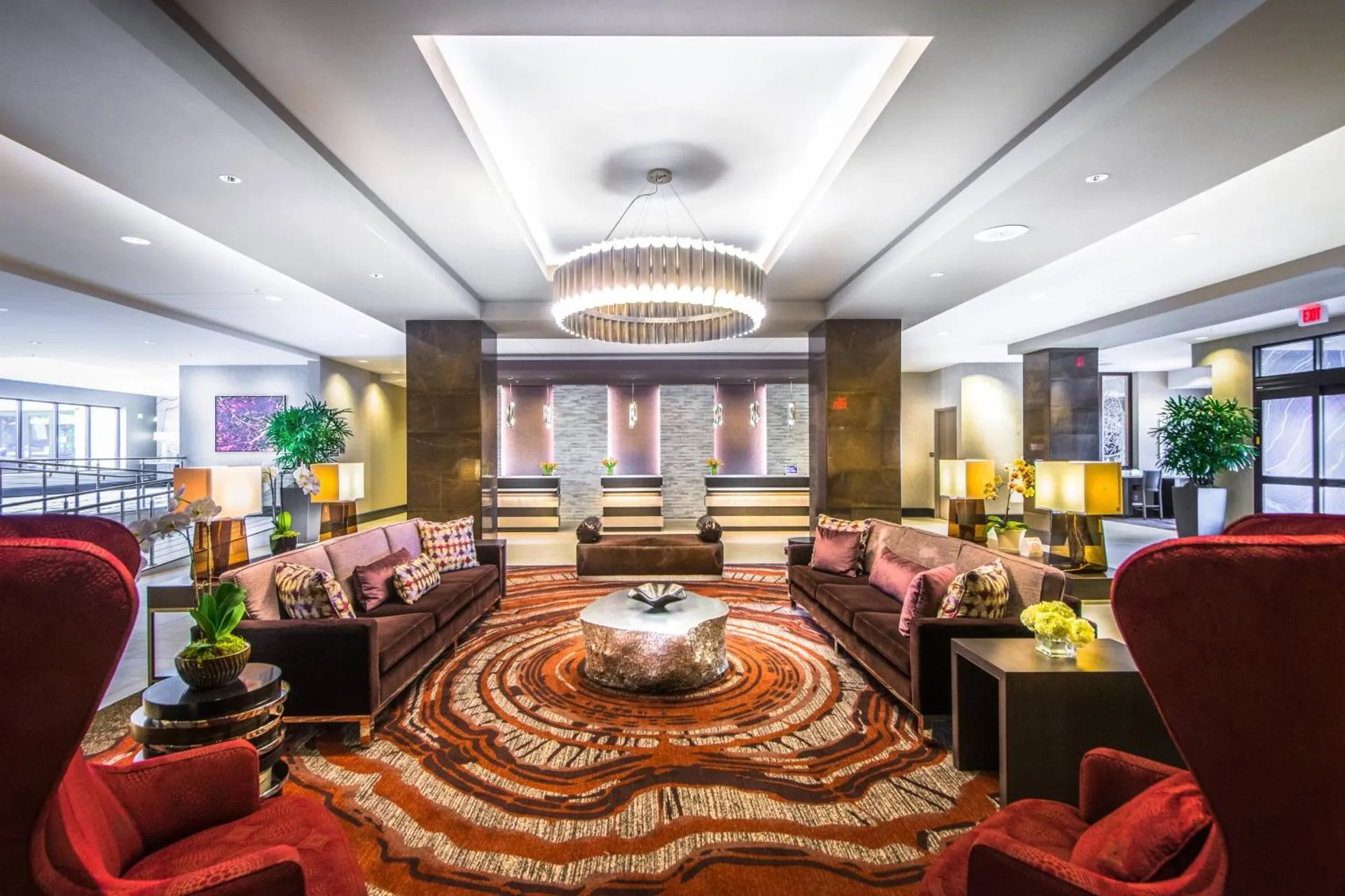 Dog Friendly Hotel $Charlottesville - $Residence Inn by Marriott Charlottesville Downtown