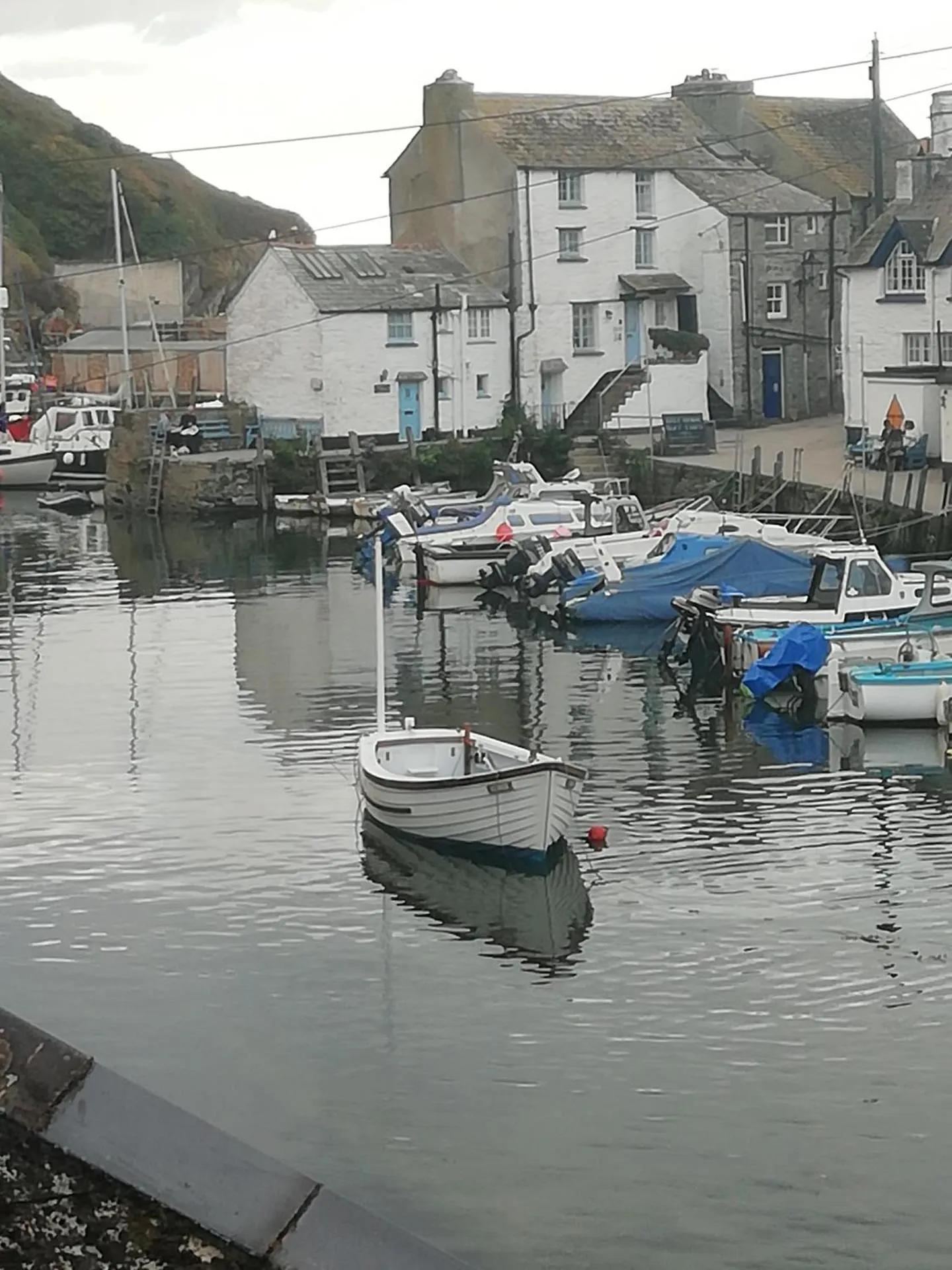 Dog Friendly Bed and breakfast $Polperro - $The House on the Props