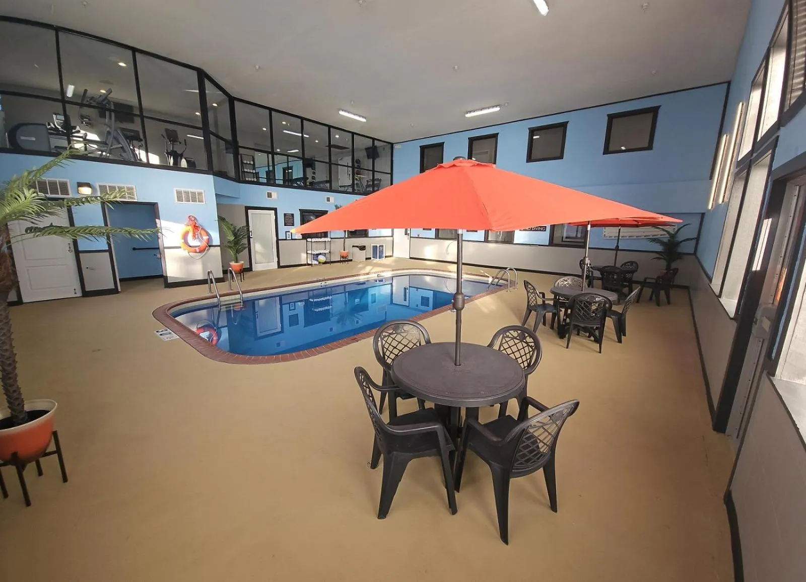 Dog Friendly Hotel $Rockford - $Riverview Inn & Suites, Ascend Hotel Collection