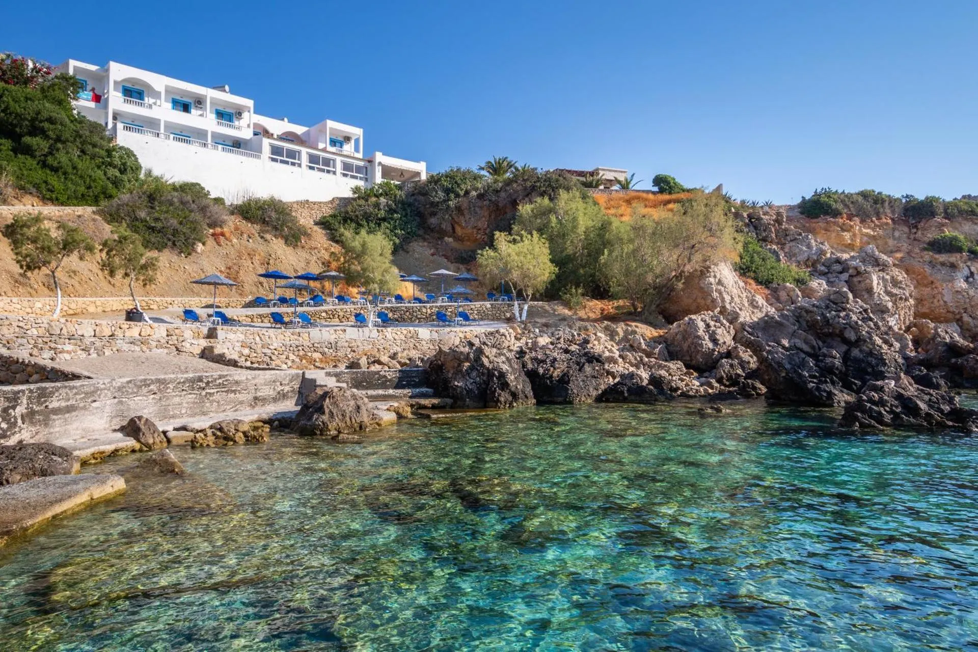 Dog Friendly Hotel $Amoopi - $Castelia Bay Hotel