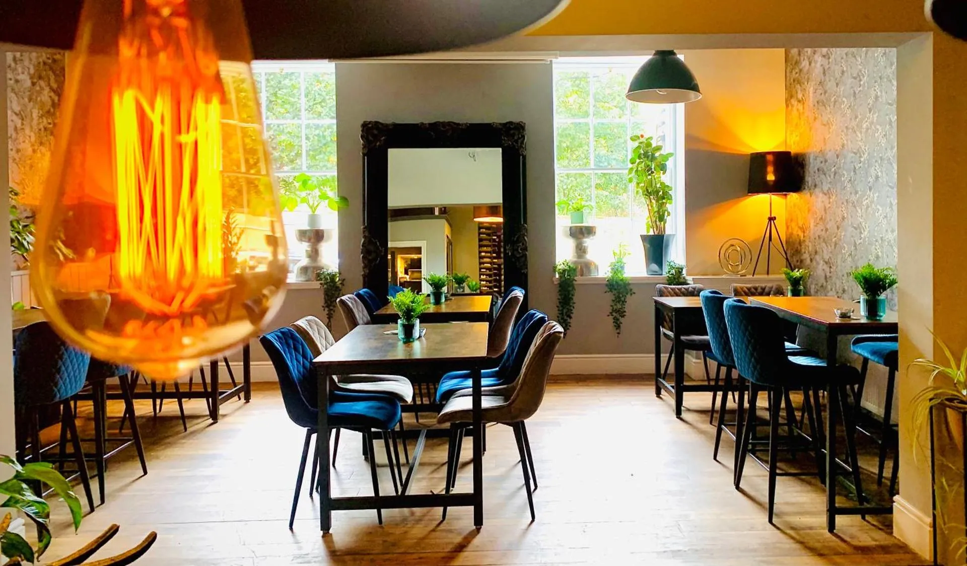 Dog Friendly Hotel $Jedburgh - $The Capon Tree Town House