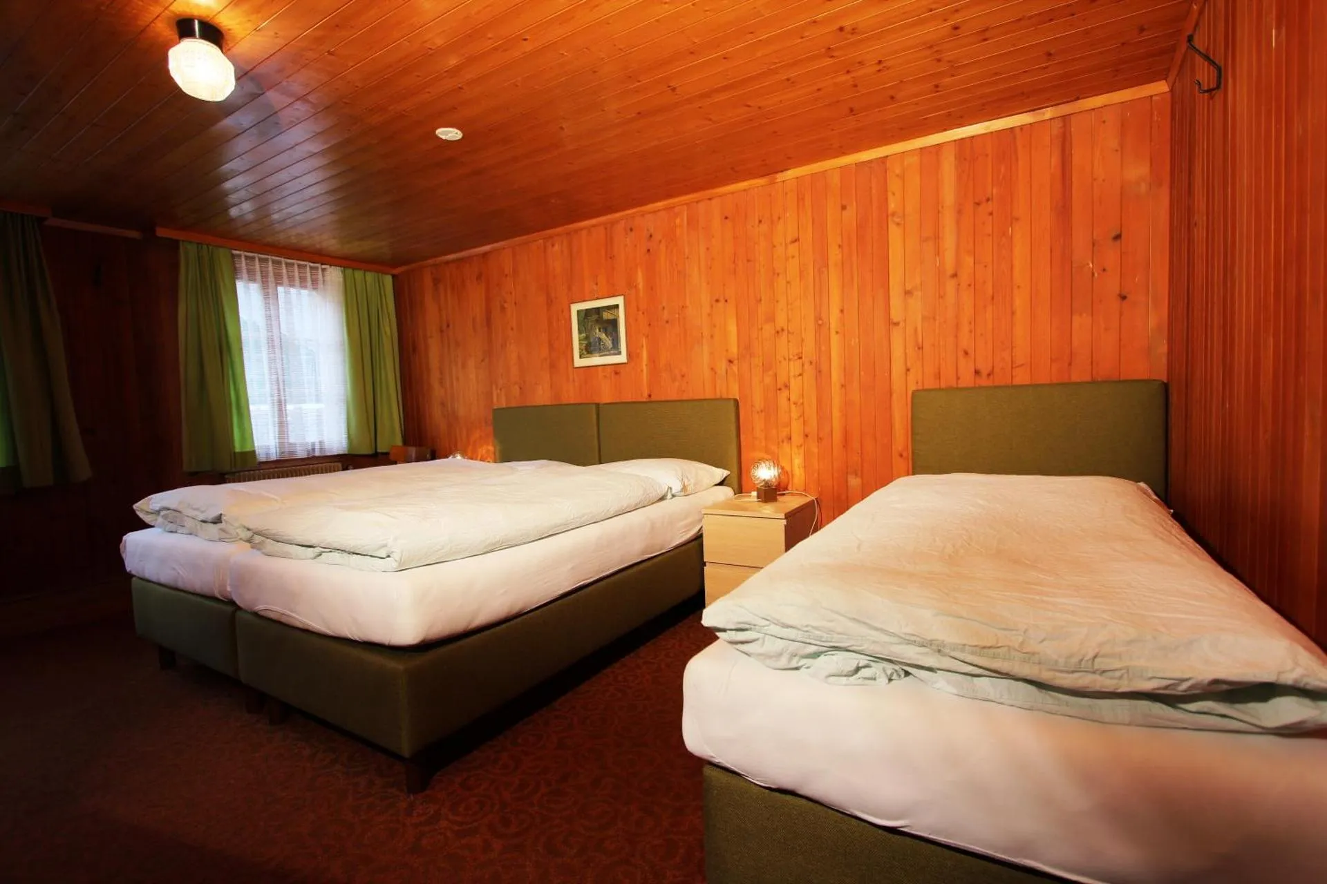 Hotel-Restaurant Alpina
