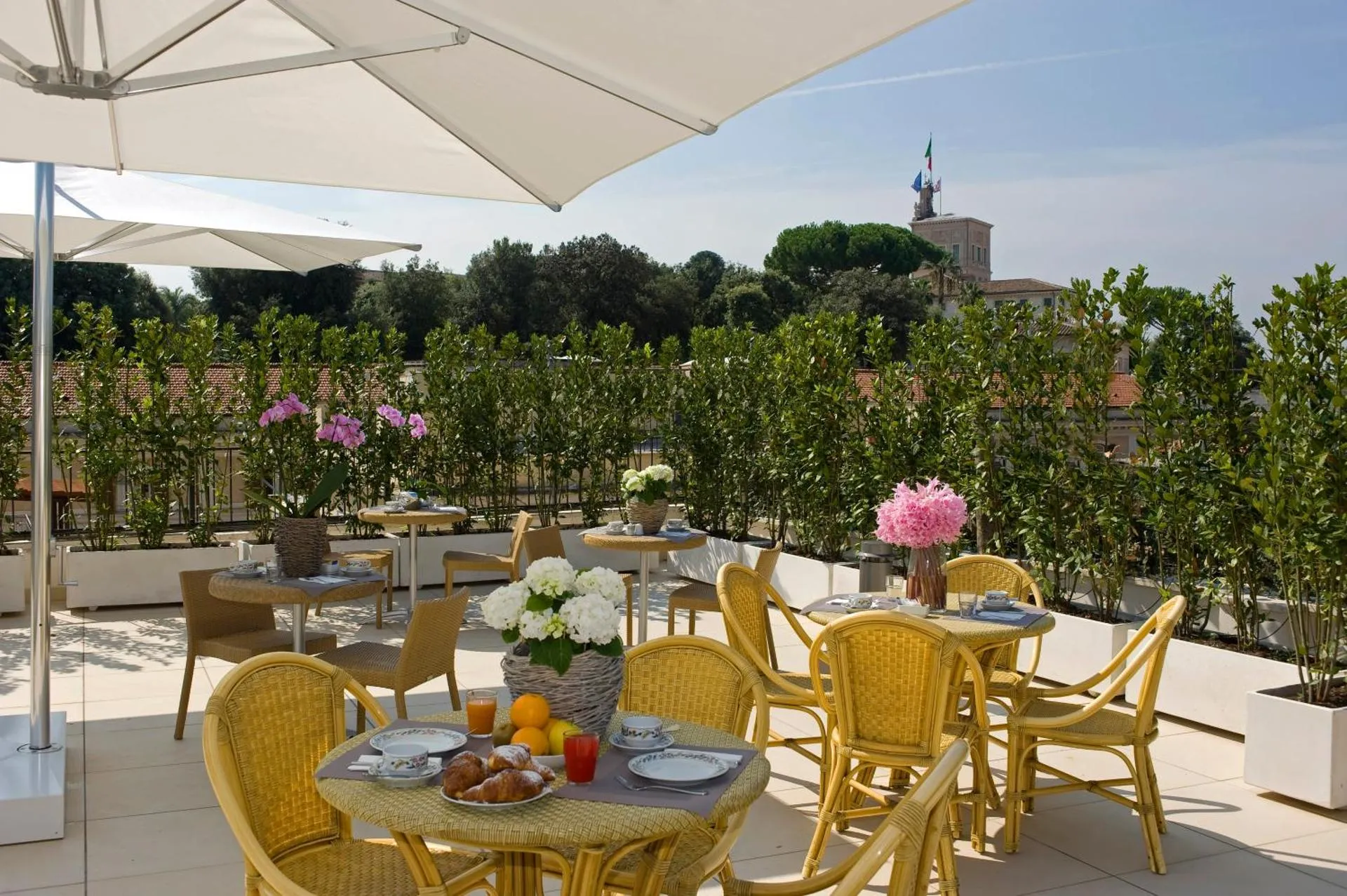 Dog Friendly Hotel $Rome - $Hotel De Petris