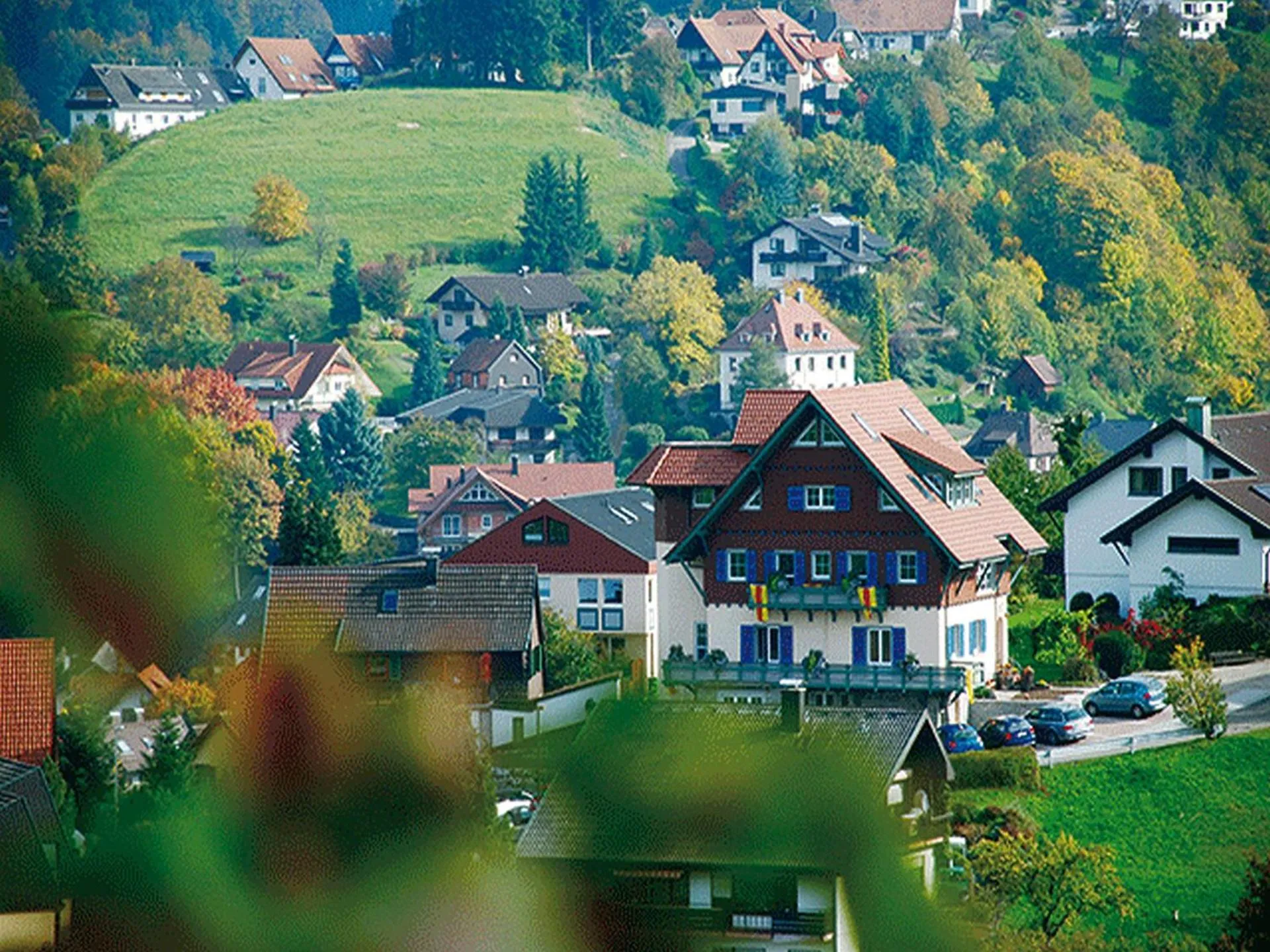 Dog Friendly Hotel $Bühlertal - $Hotel-Restaurant Bergfriedel
