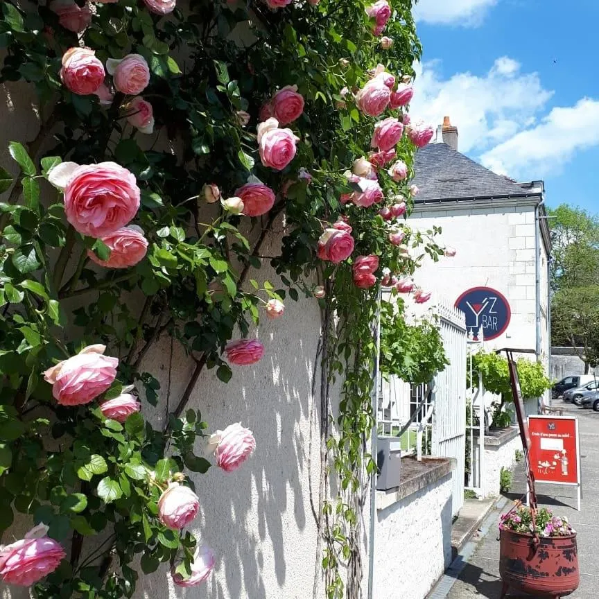 Dog Friendly Hotel $Yzeures-sur-Creuse - $Relais de la Mothe