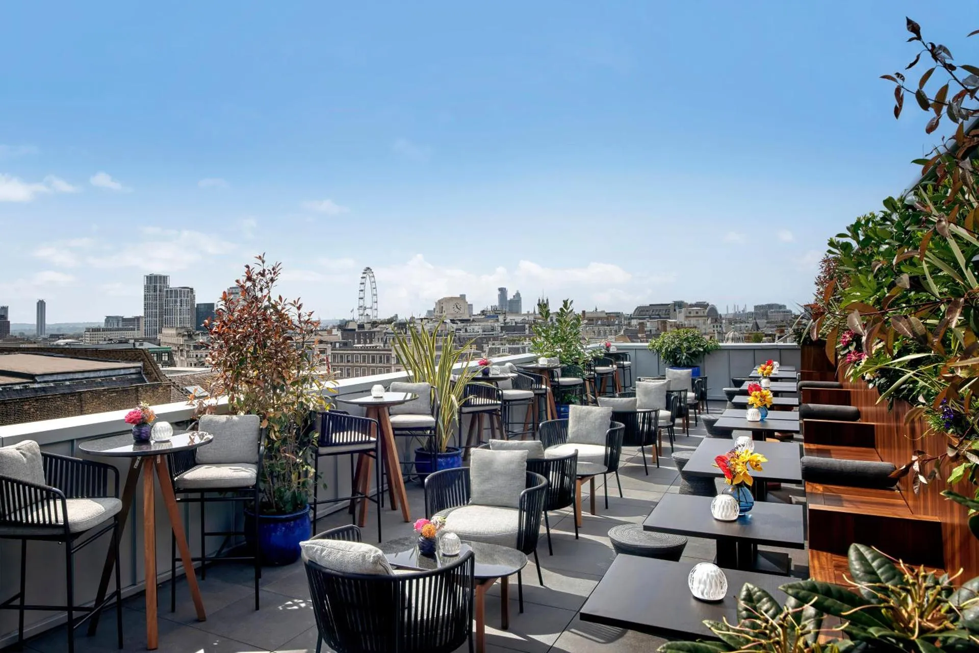 Dog Friendly Hotel $London - $AMANO Covent Garden