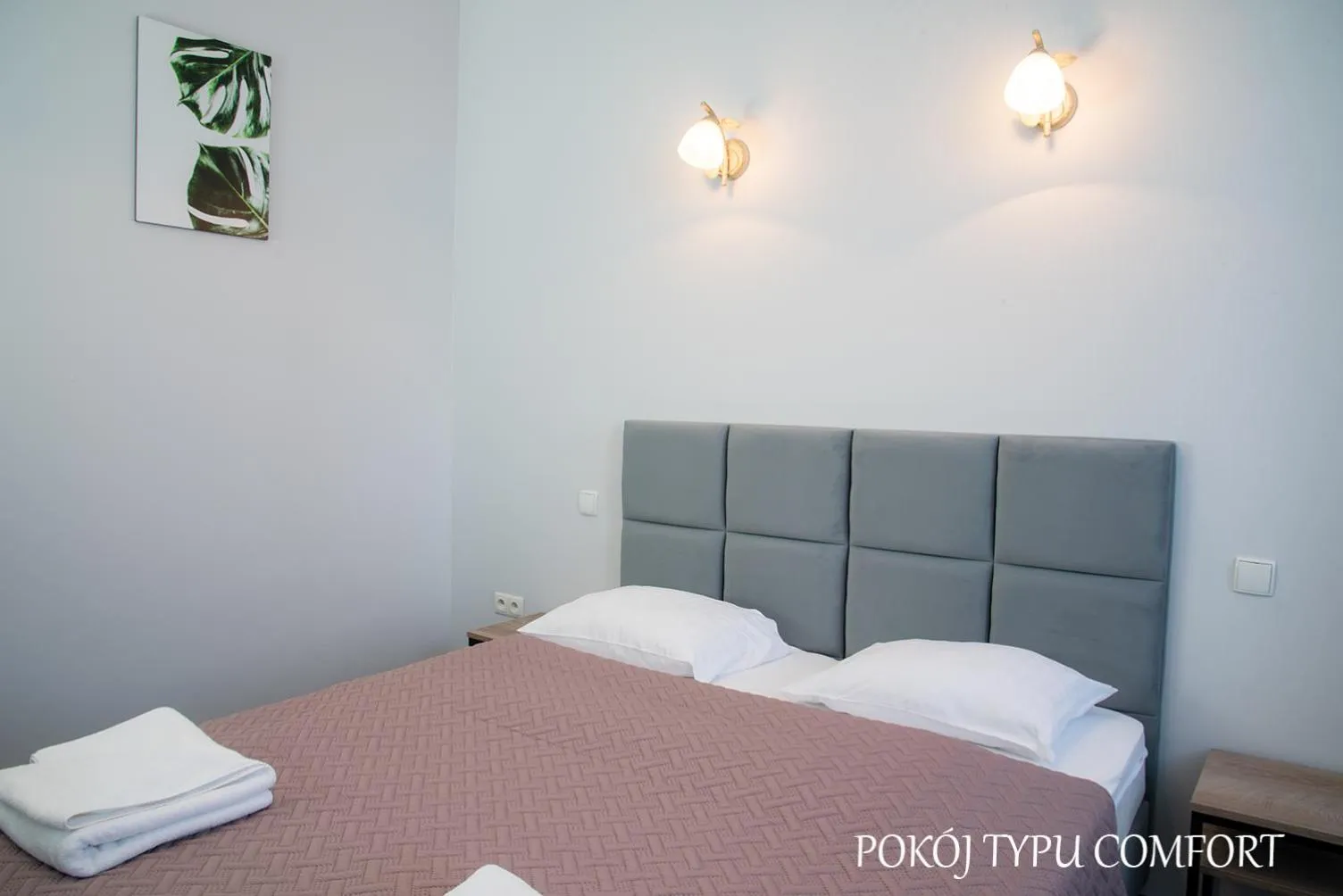 Dog Friendly Hotel $Ciechanów - $Hotel Baron