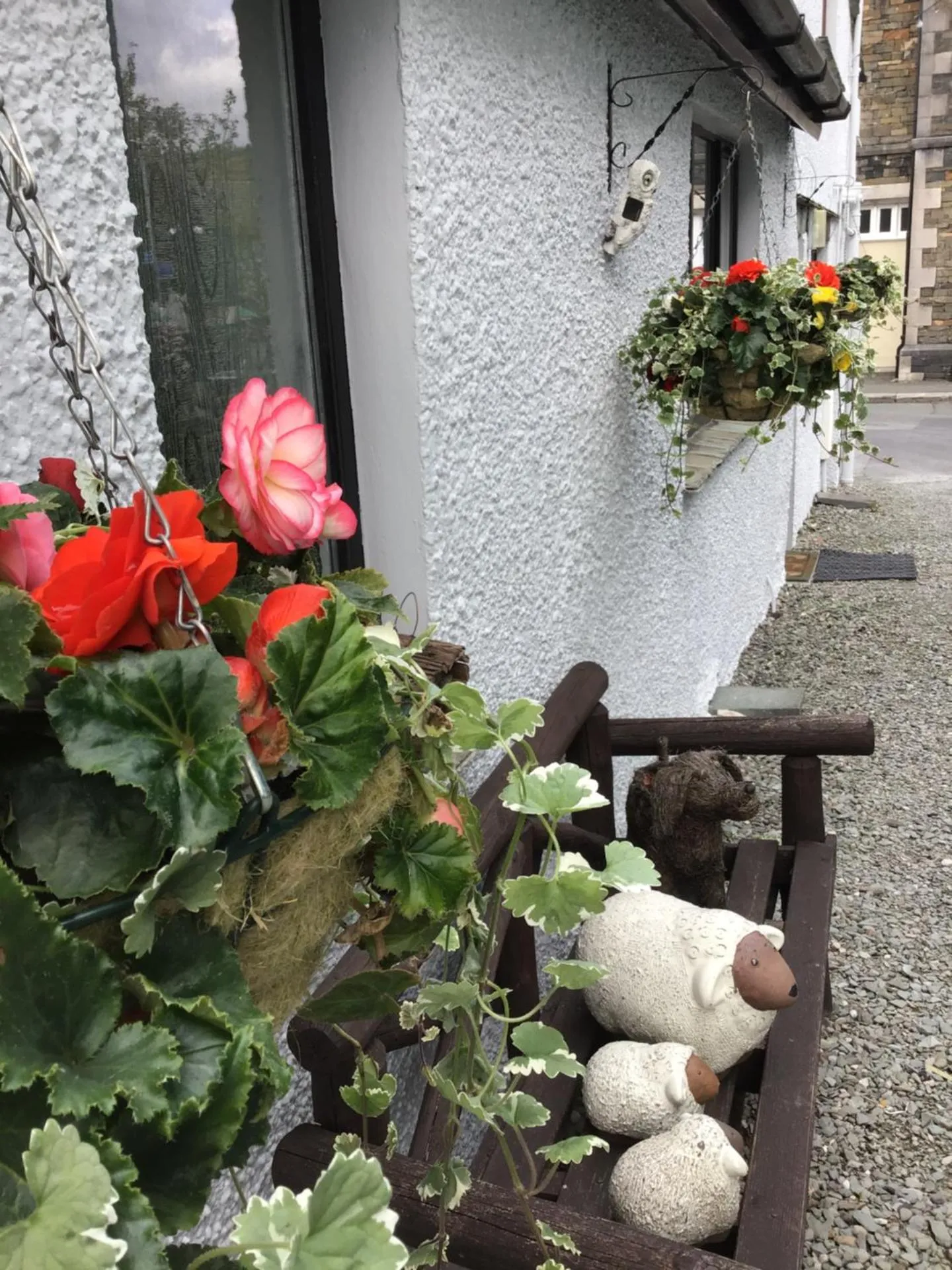 Dog Friendly Bed and breakfast $Hawkshead - $Mere Lodge Bed & Breakfast