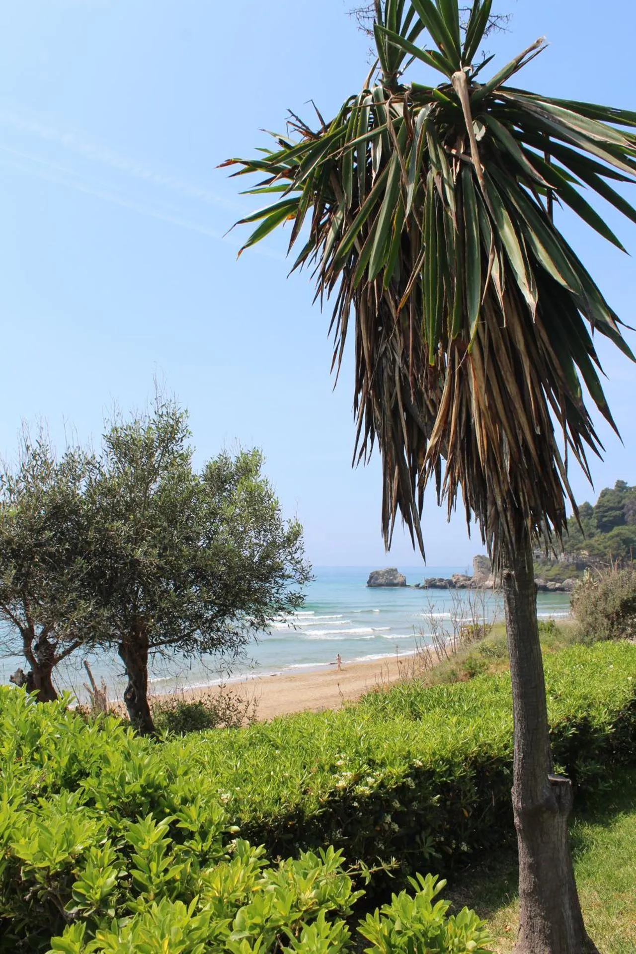 Dog Friendly Aparthotel $Glyfada - $Glyfada Gorgona Apartments